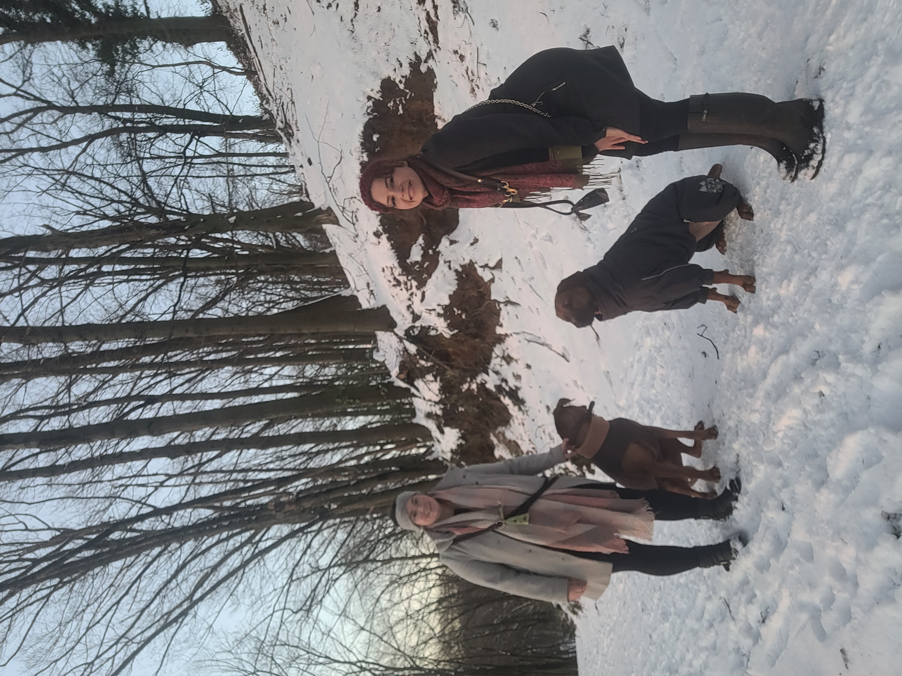image-8