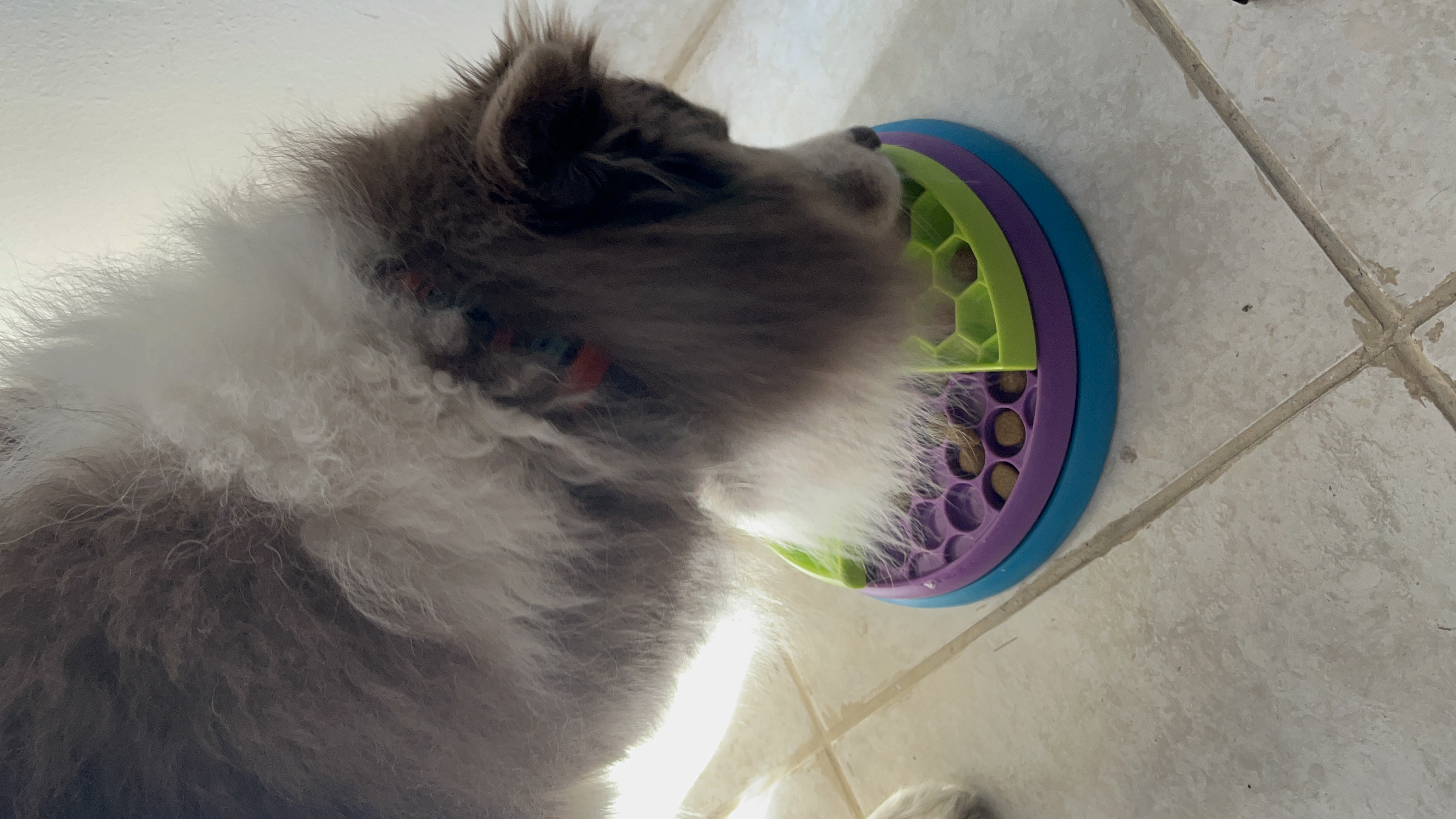 image-7