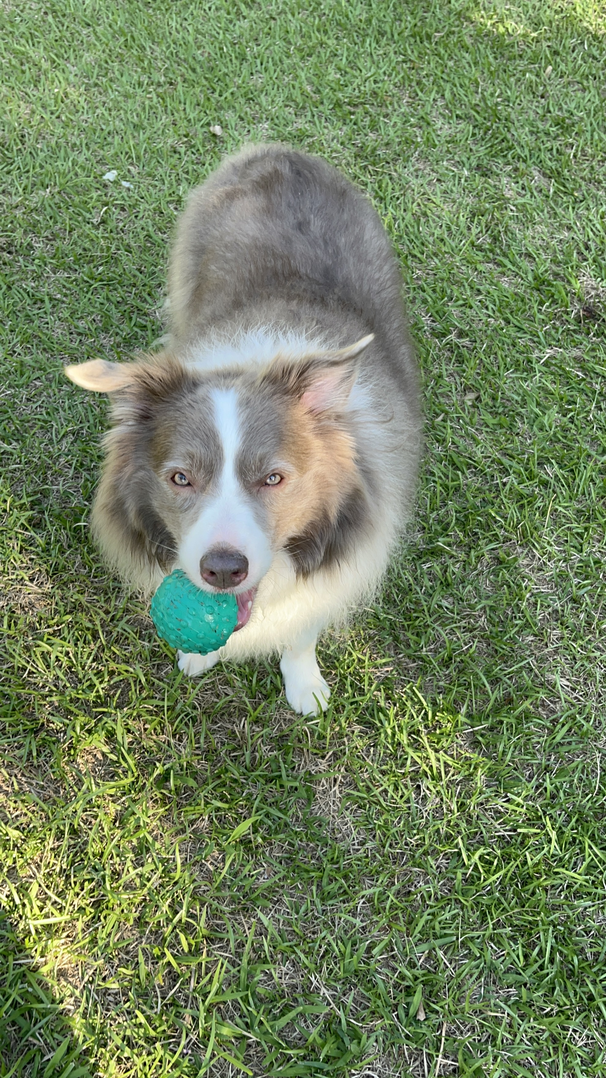 image-6