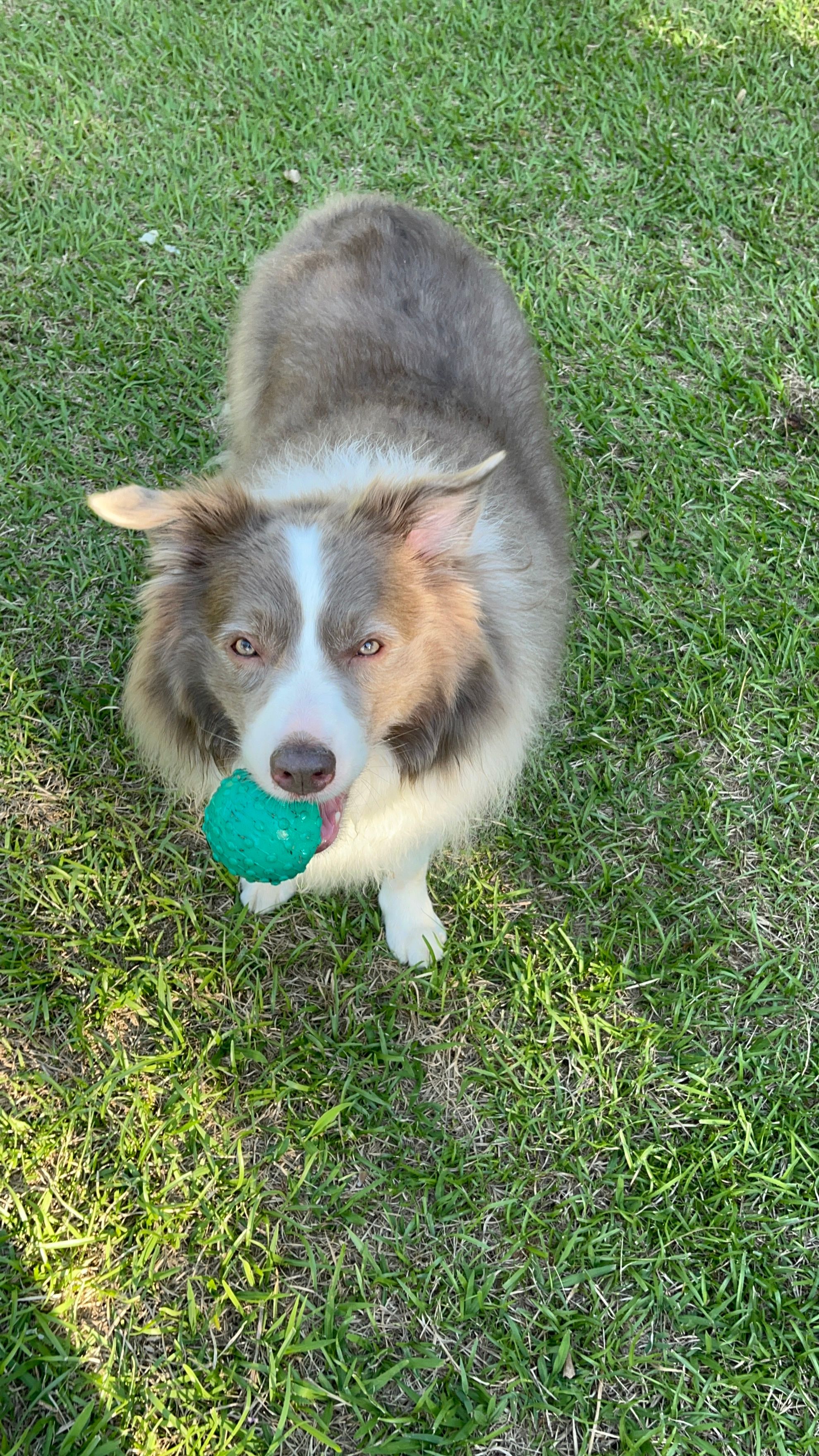 image-6