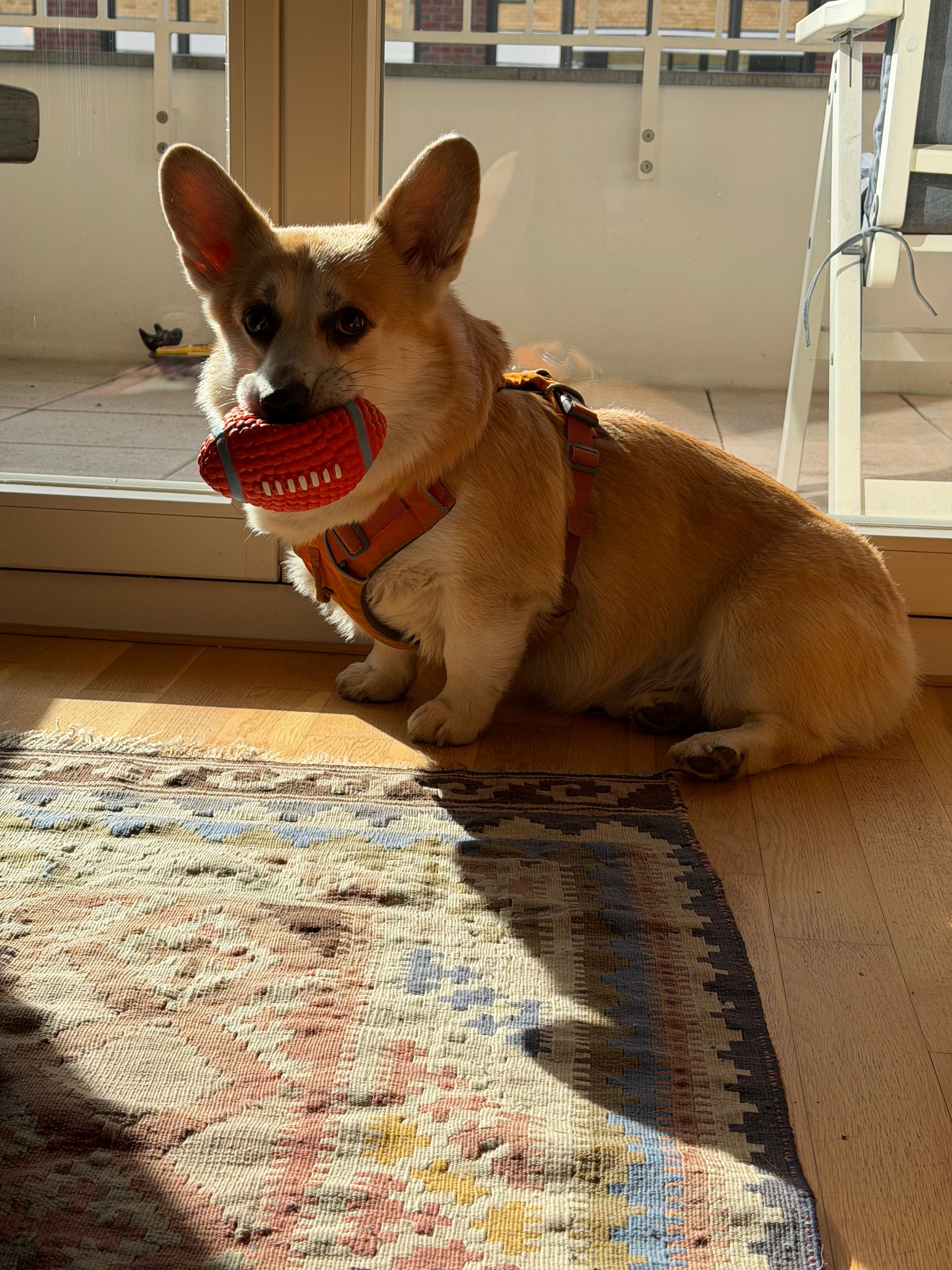 image-11