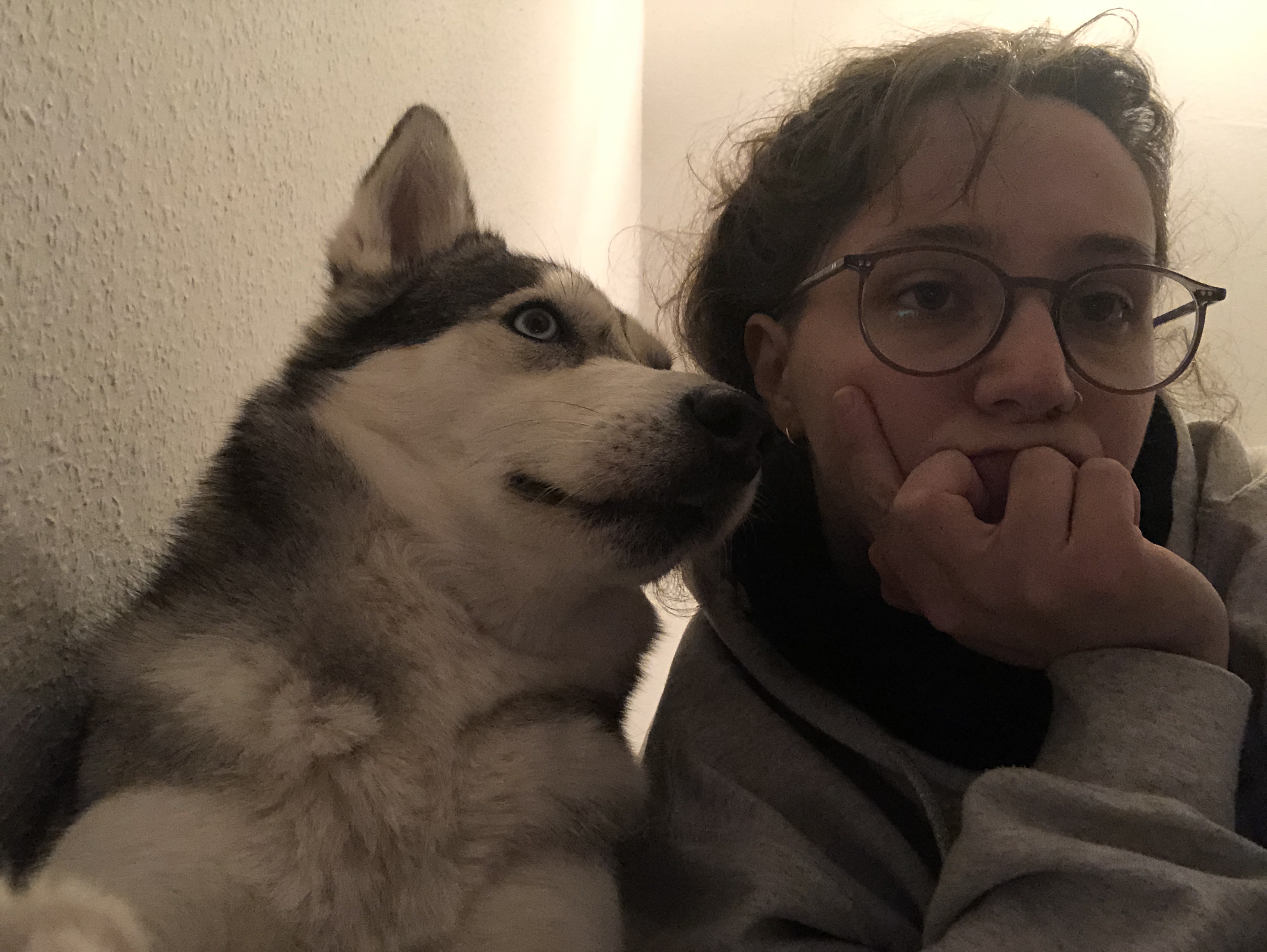 image-8