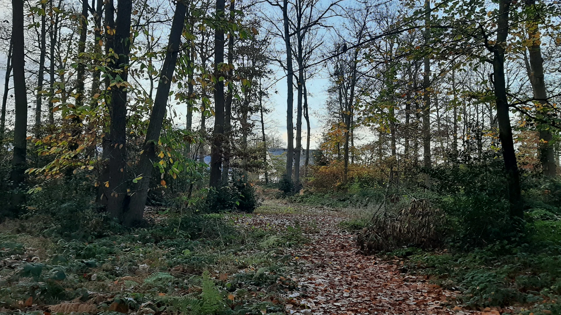 image-13
