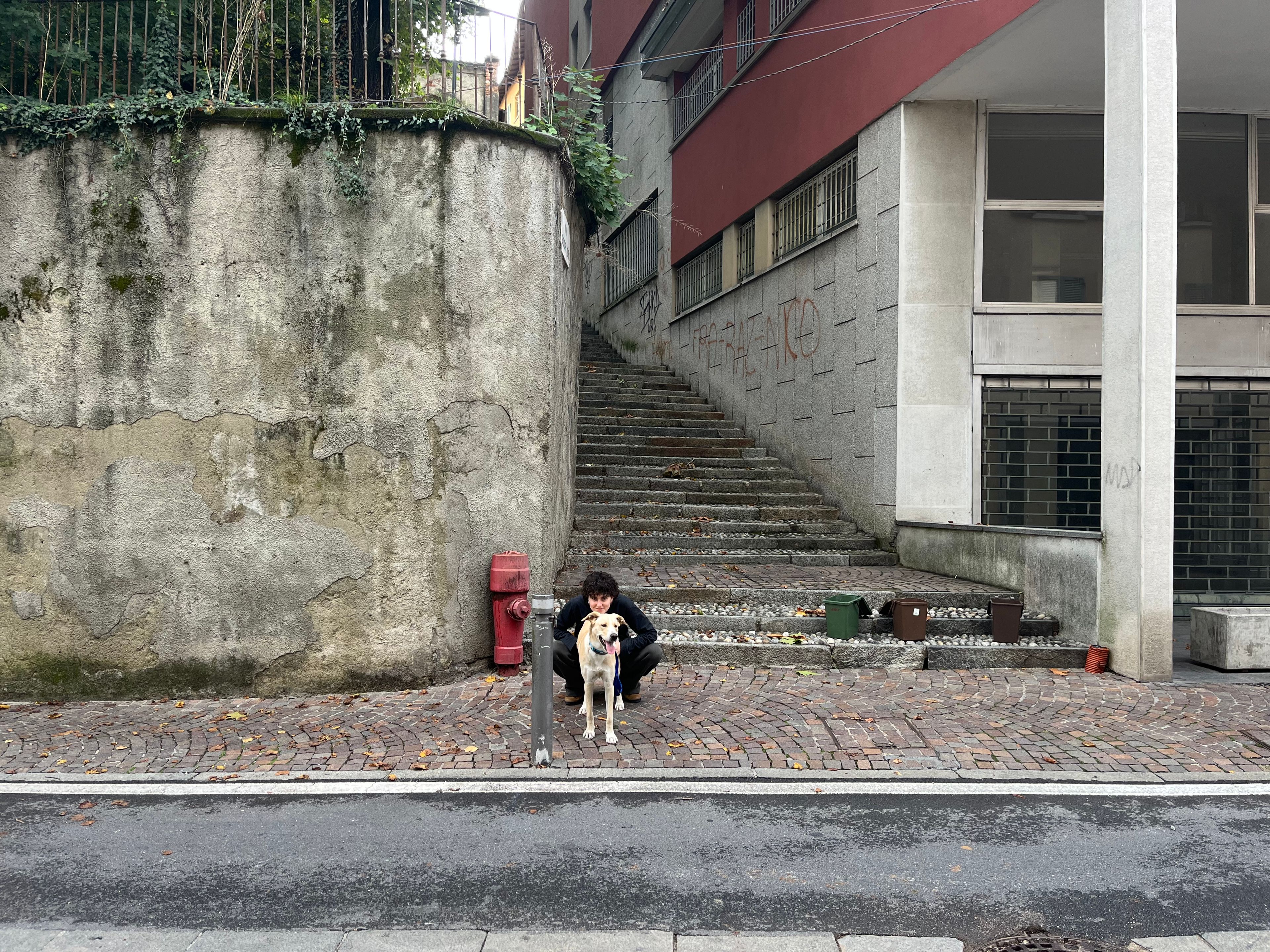 image-8
