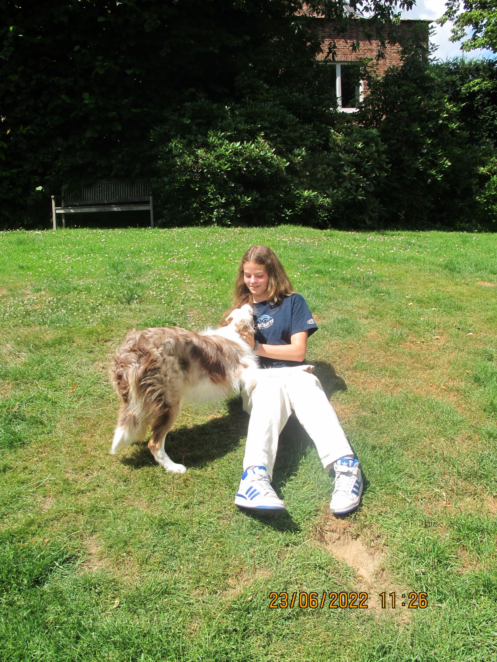 image-6