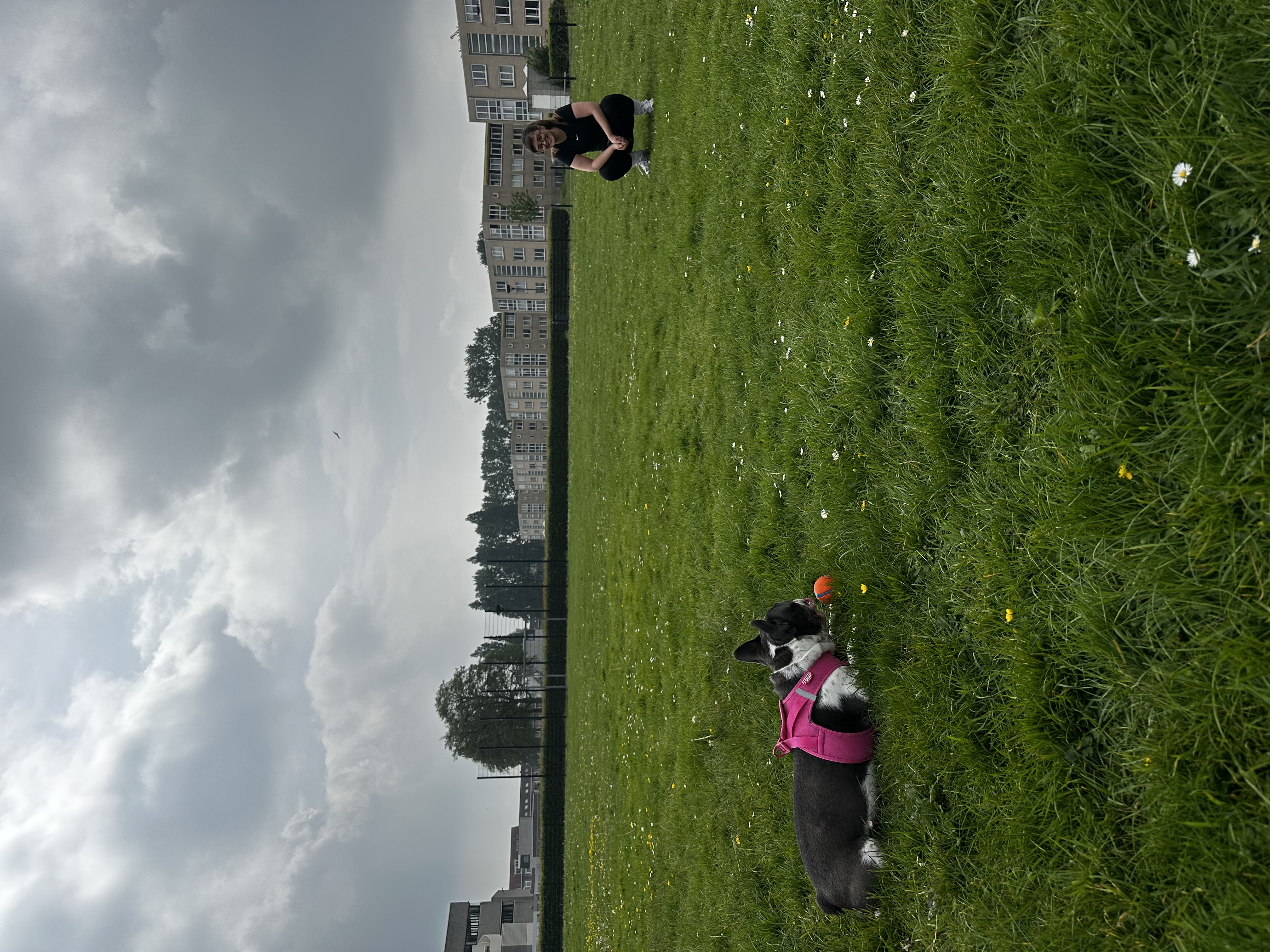 image-7