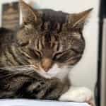 Gungadin🪦 (2015-2024)