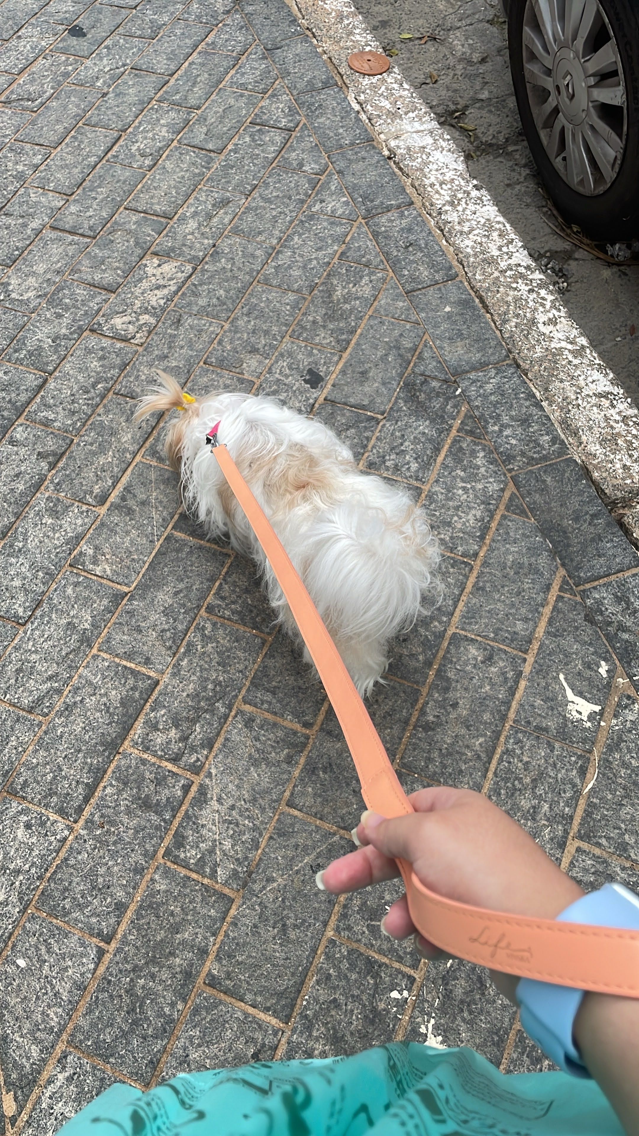 image-7