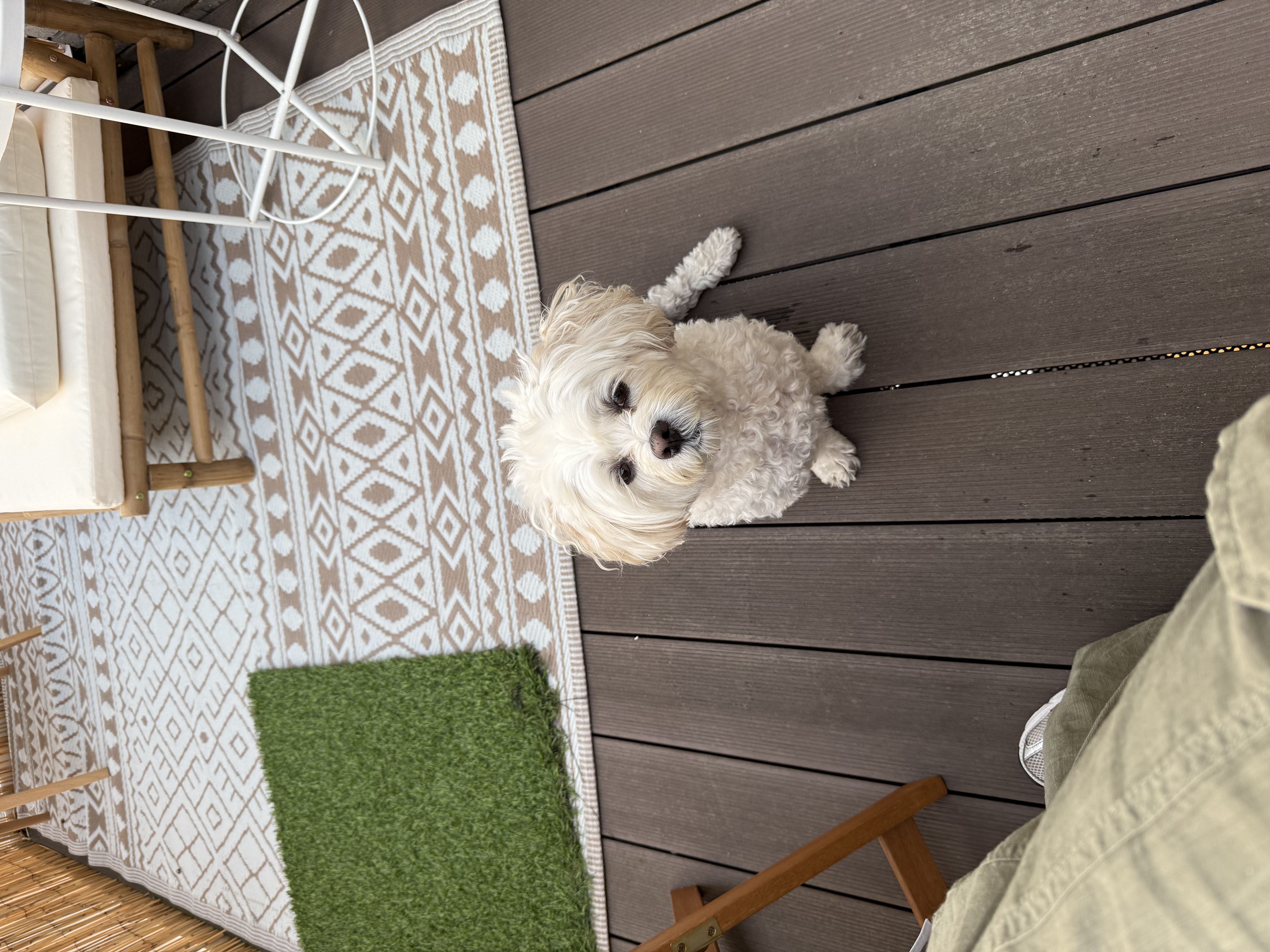 image-7