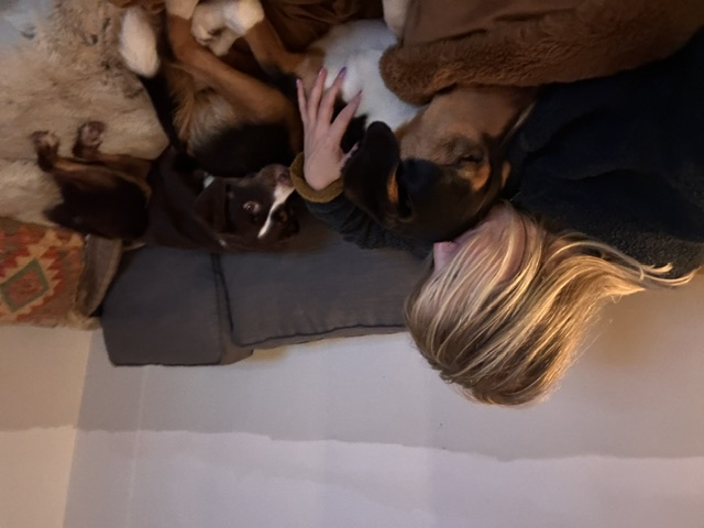 image-13