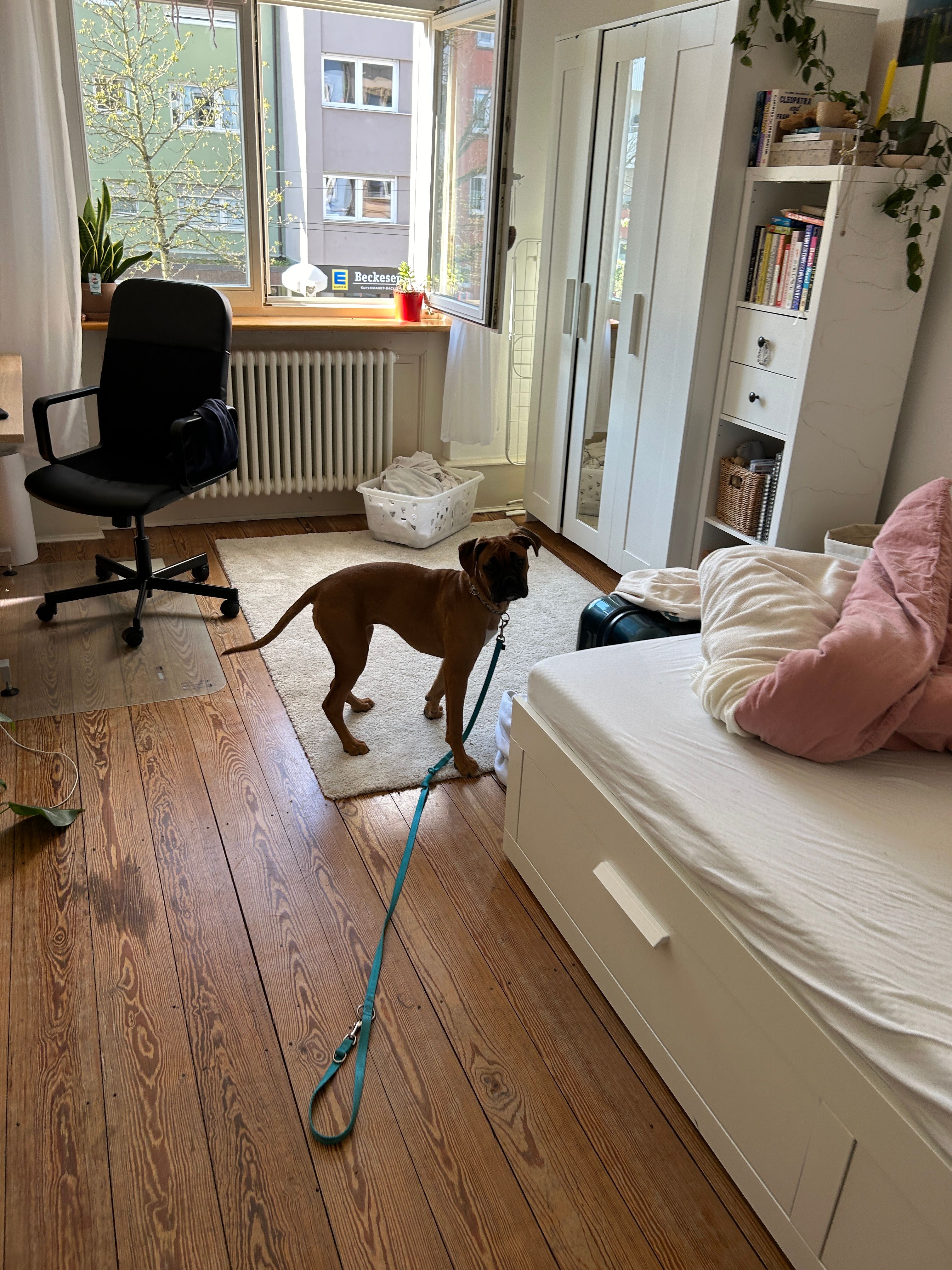 image-16