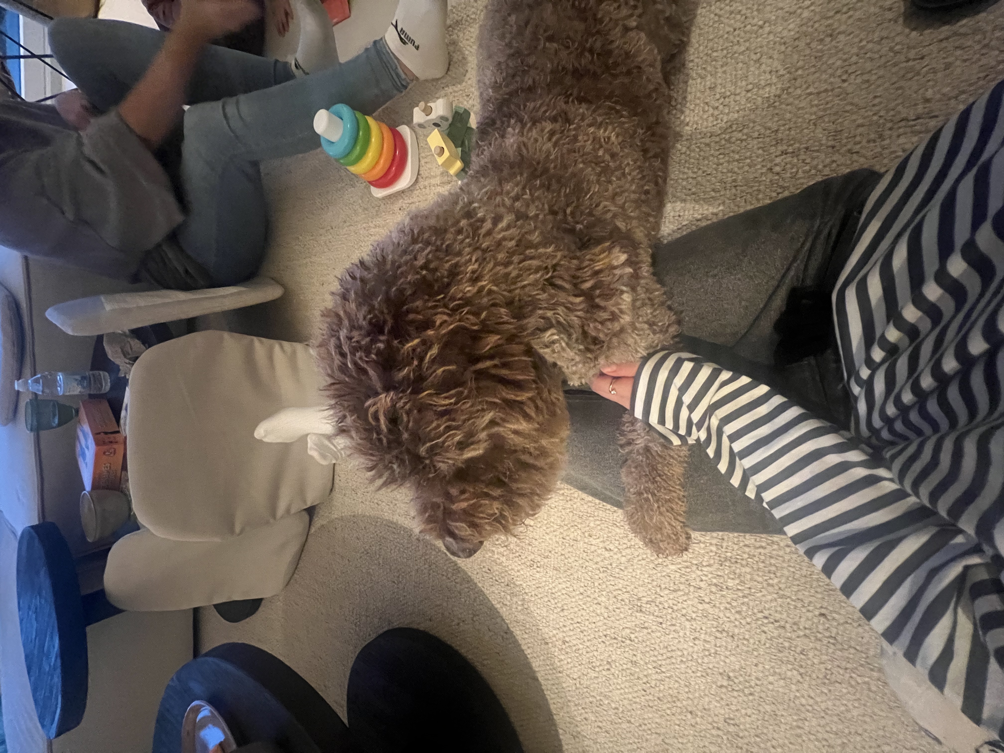 image-6
