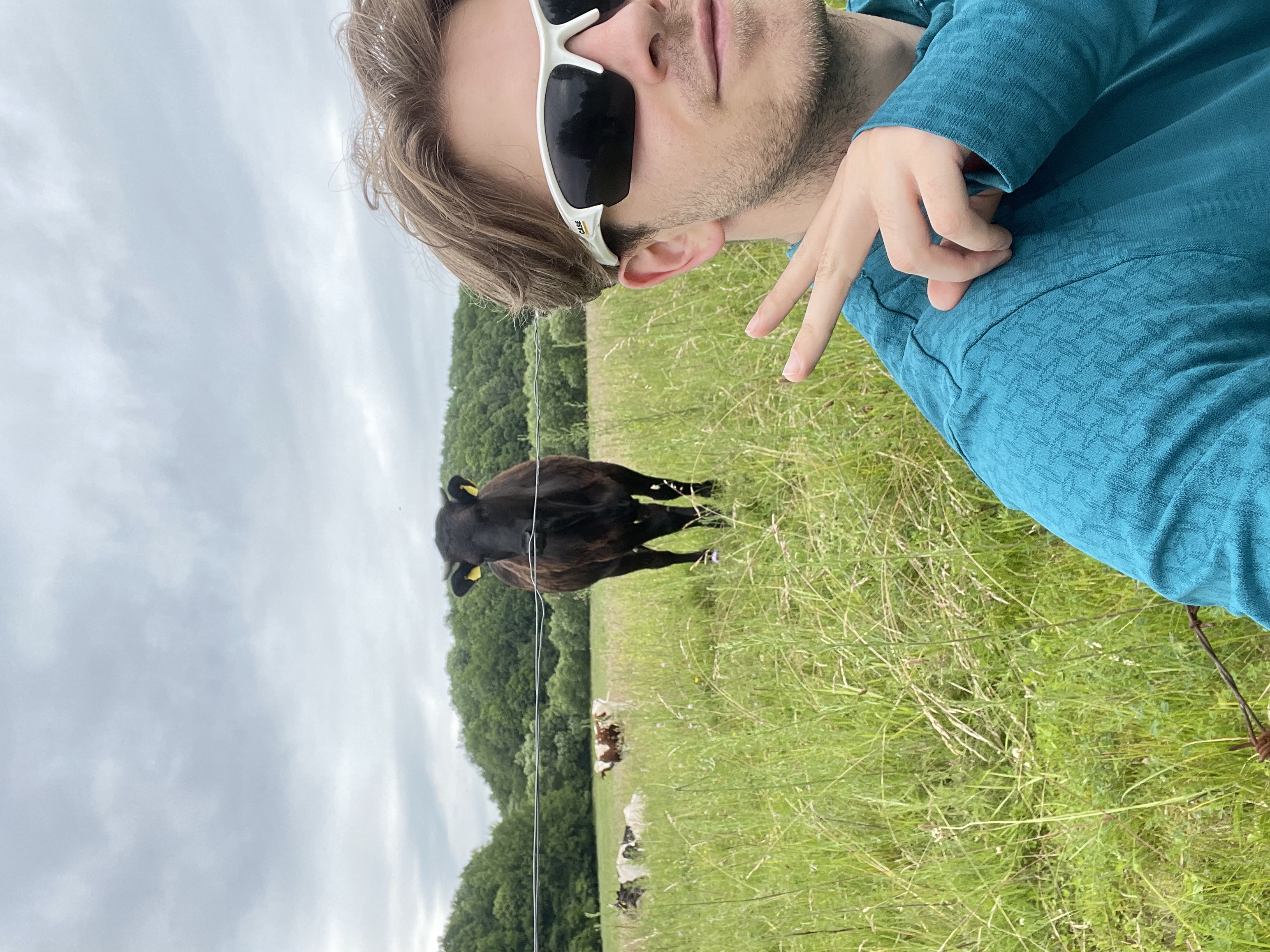 image-8