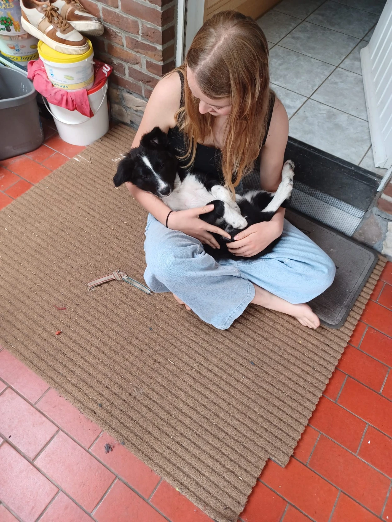 image-6