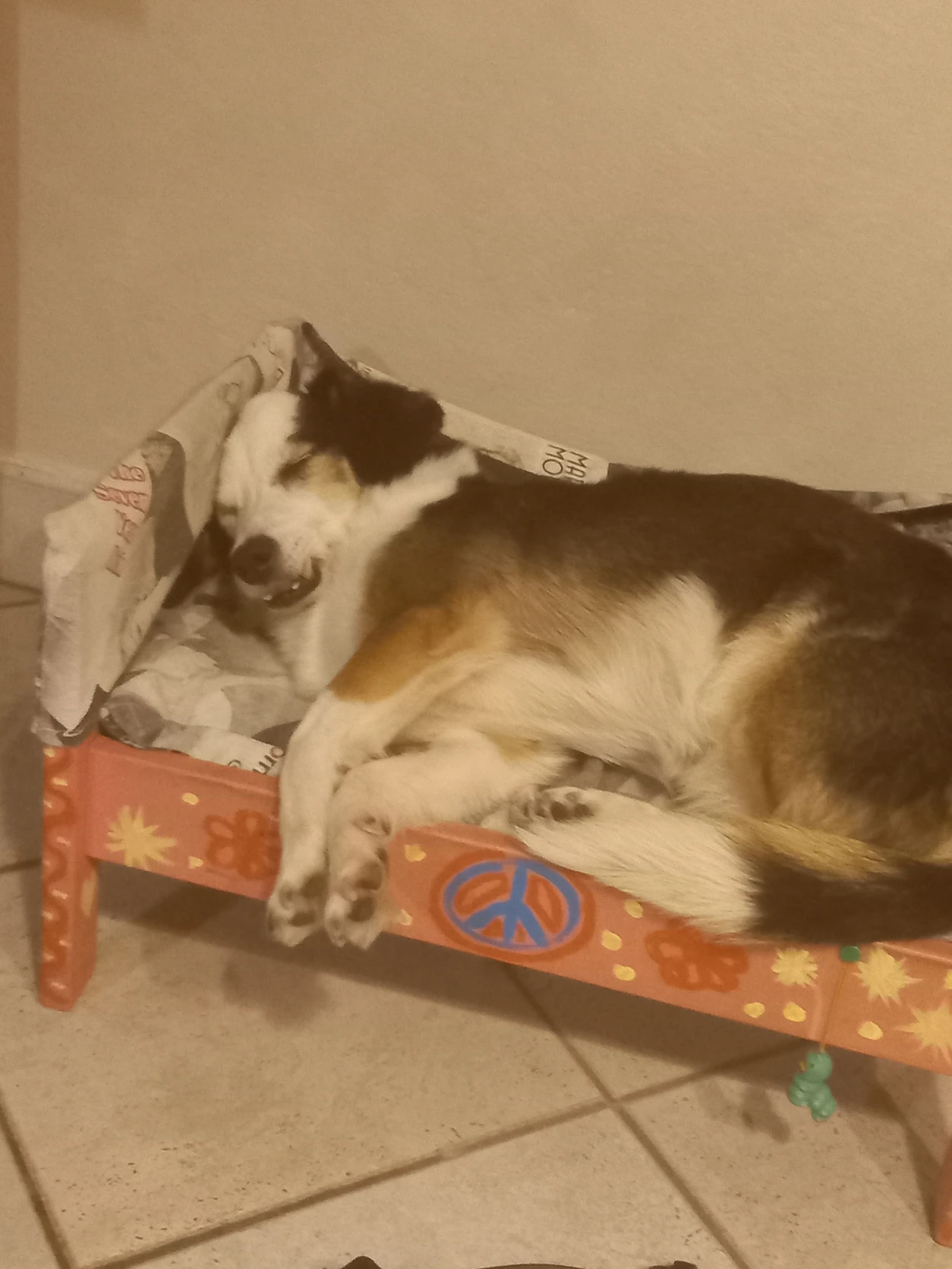 image-6
