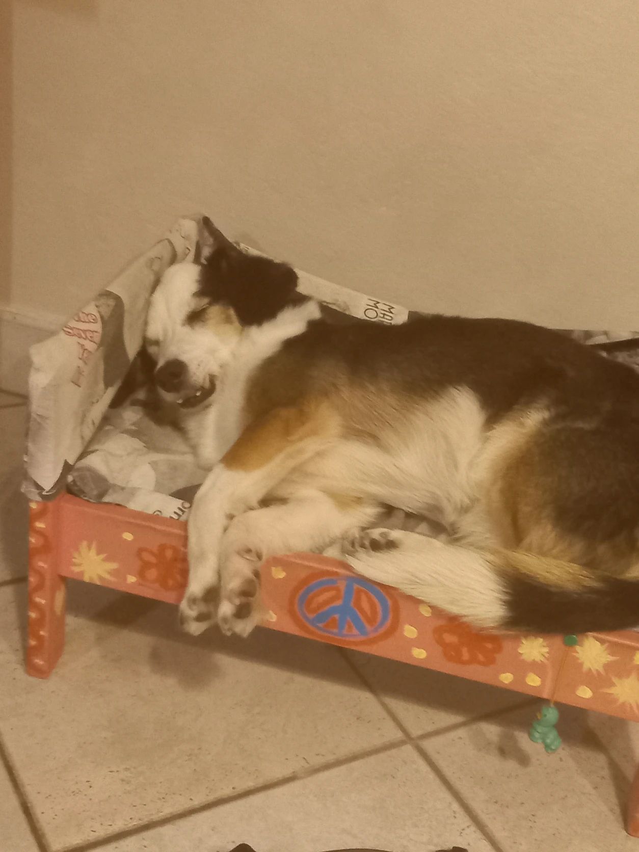image-6