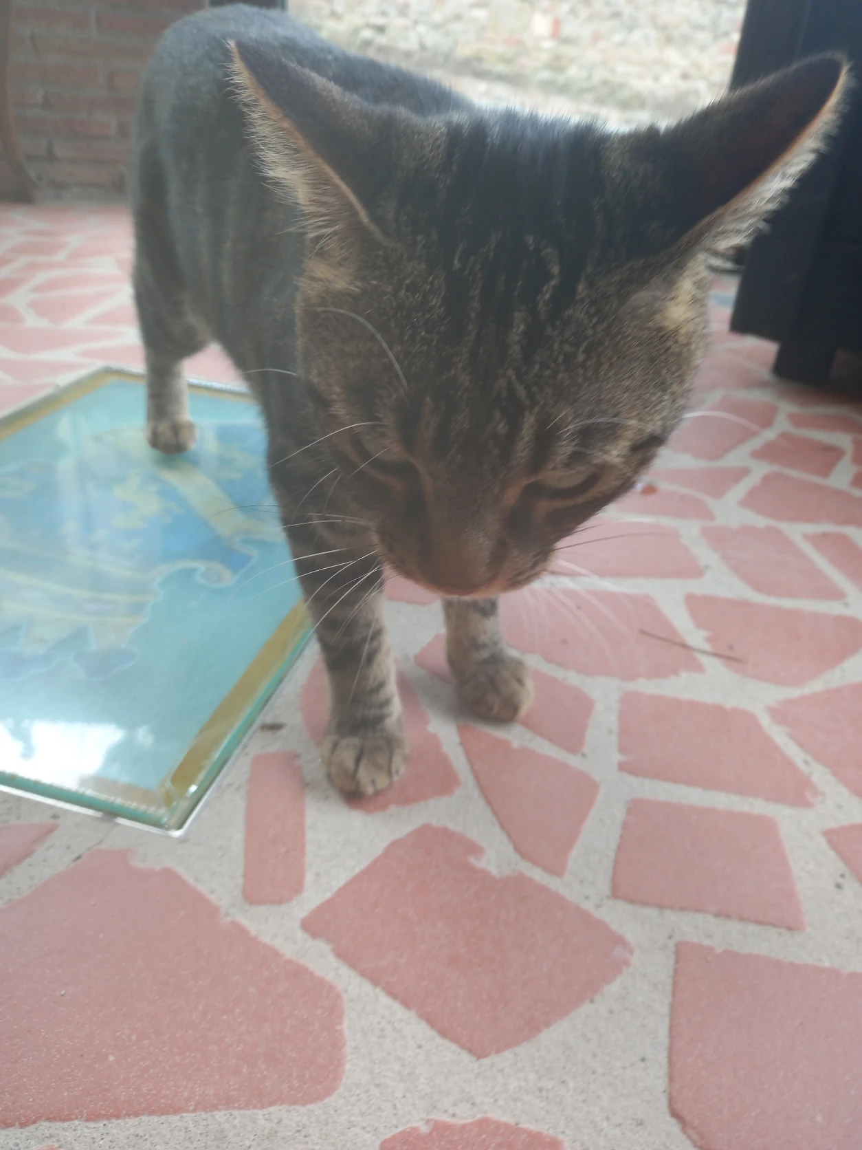 image-7