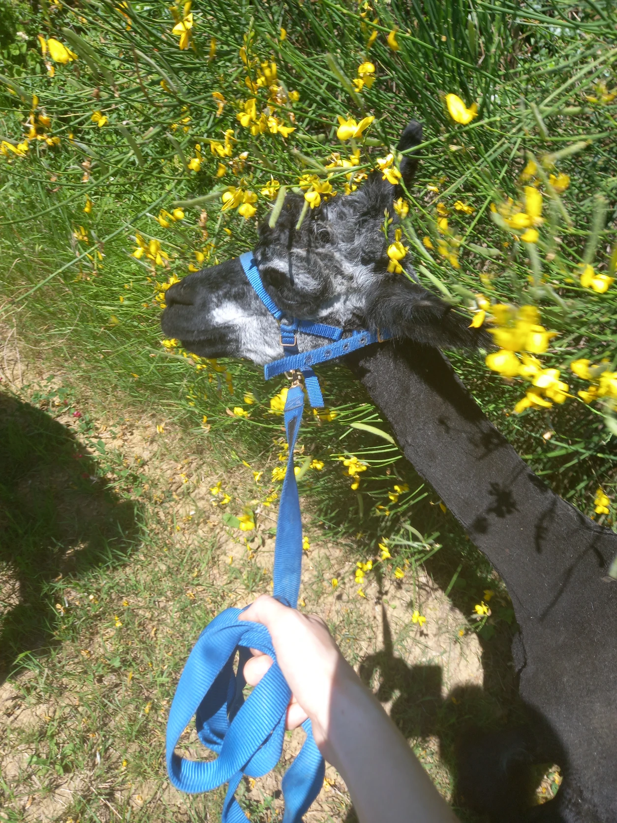 image-8