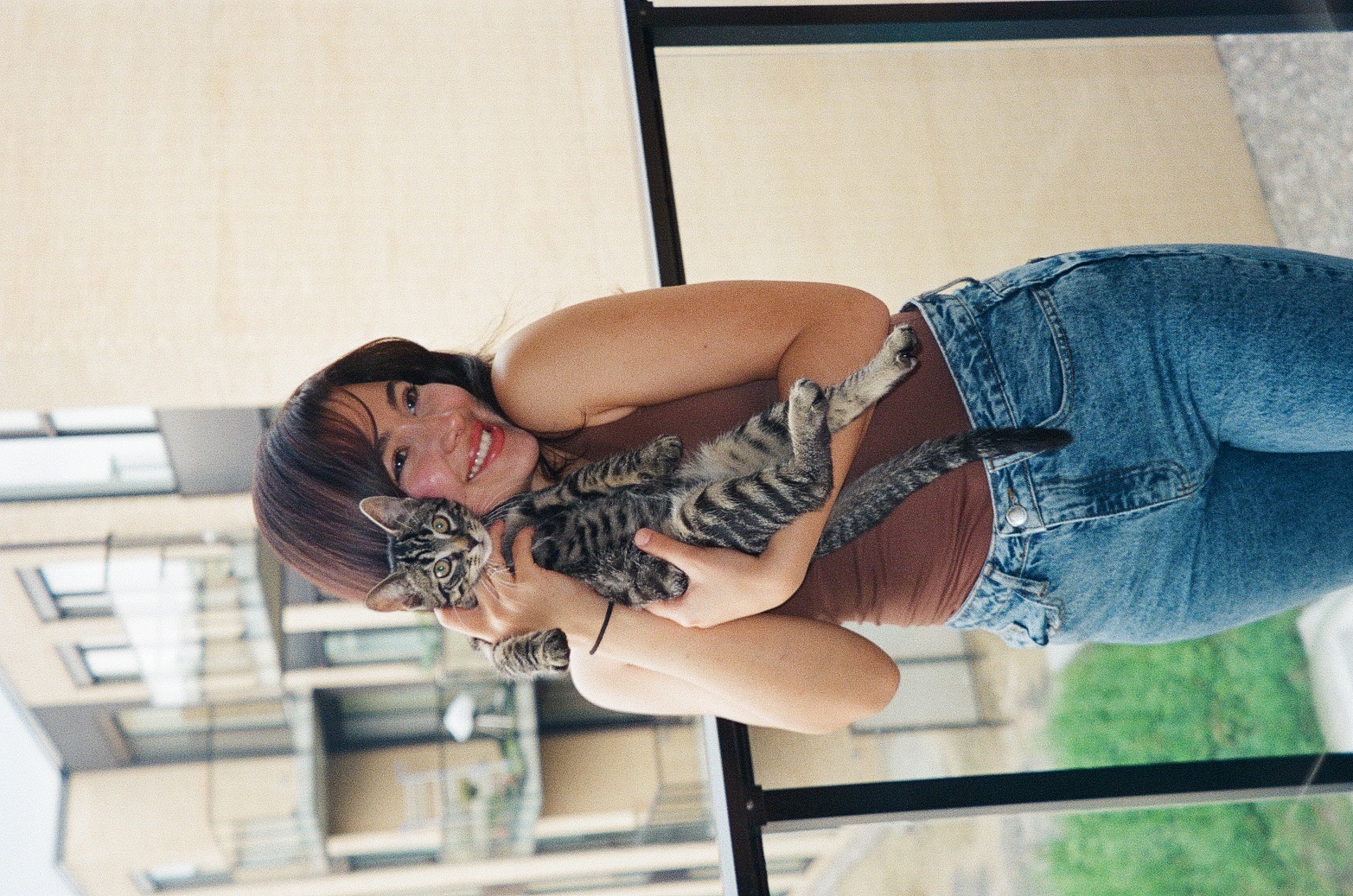 image-6
