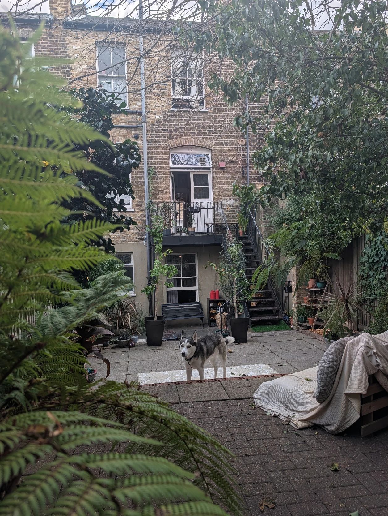 image-10
