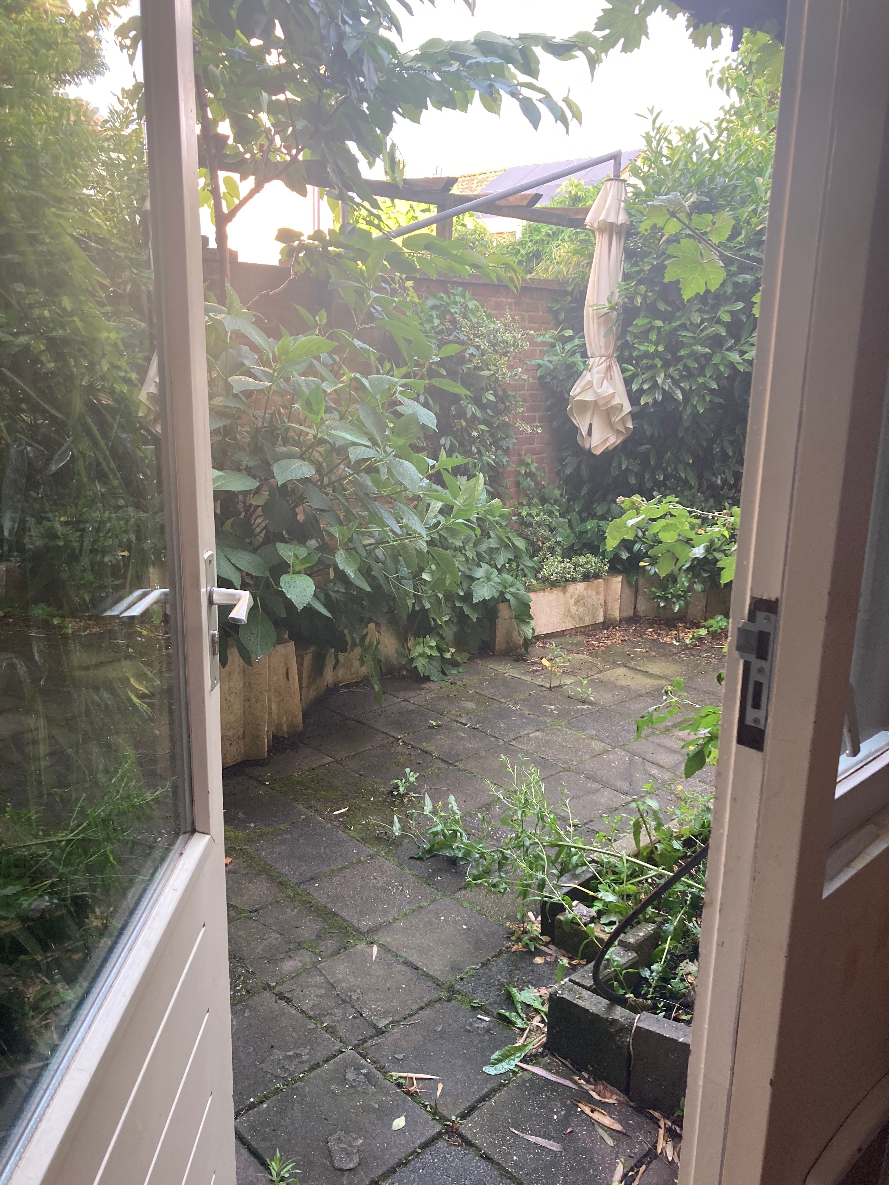 image-20