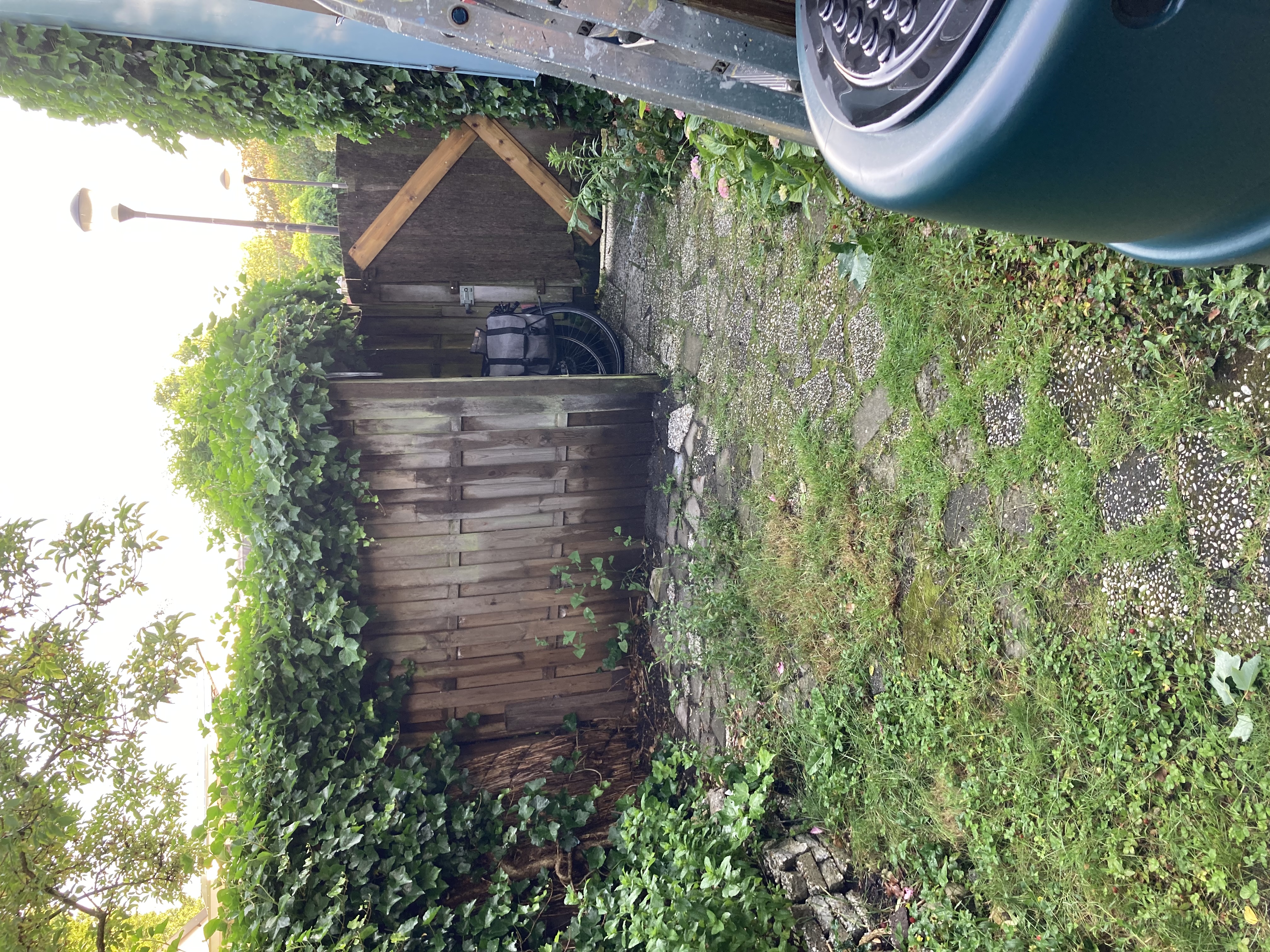 image-23