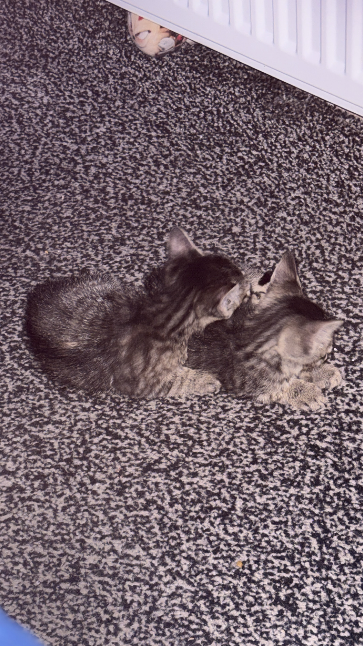 image-14