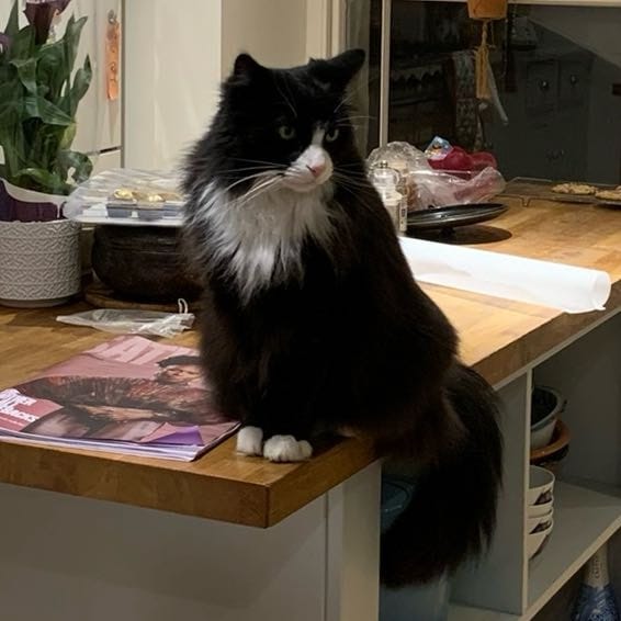 Sooty