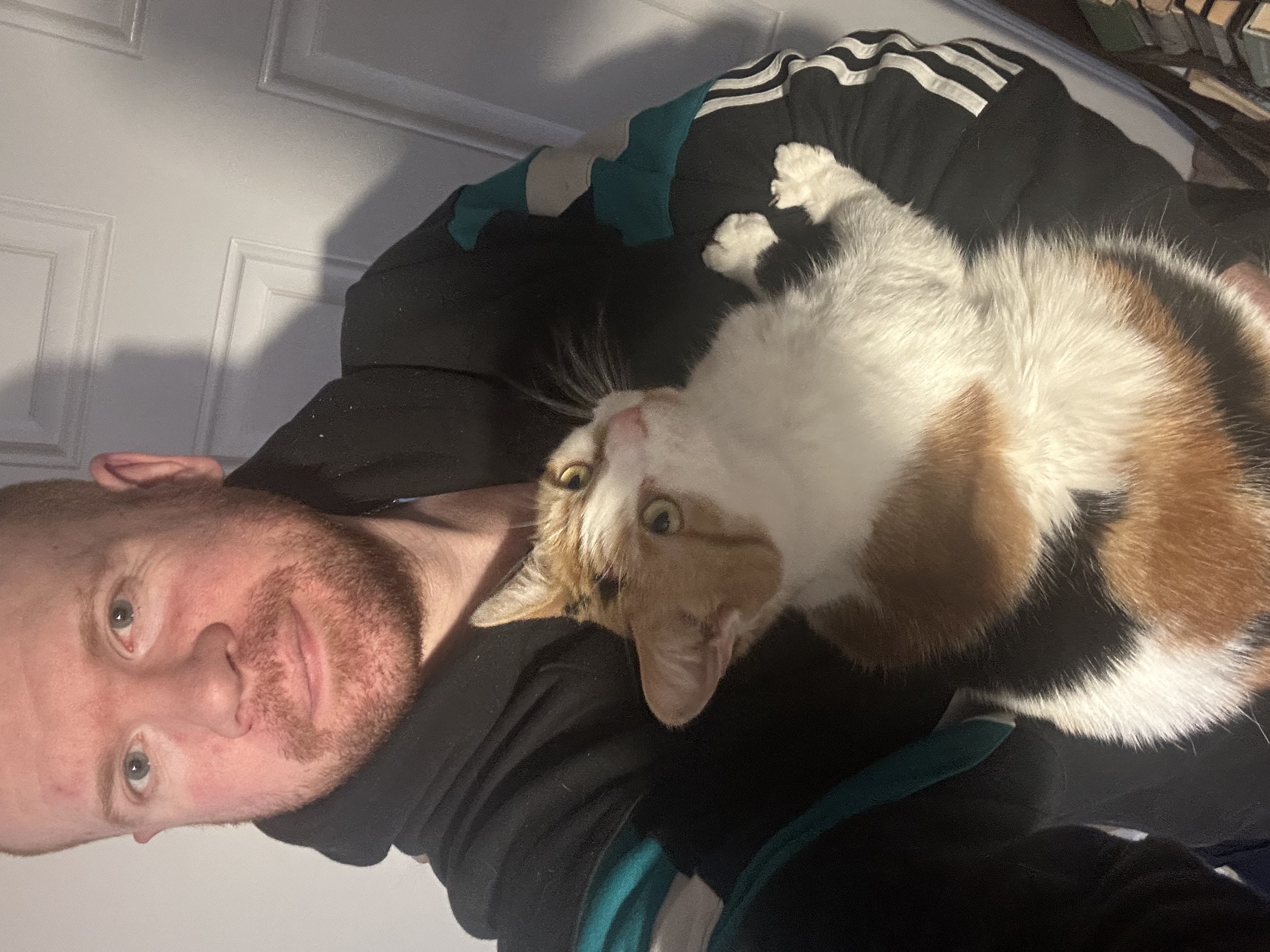 image-1