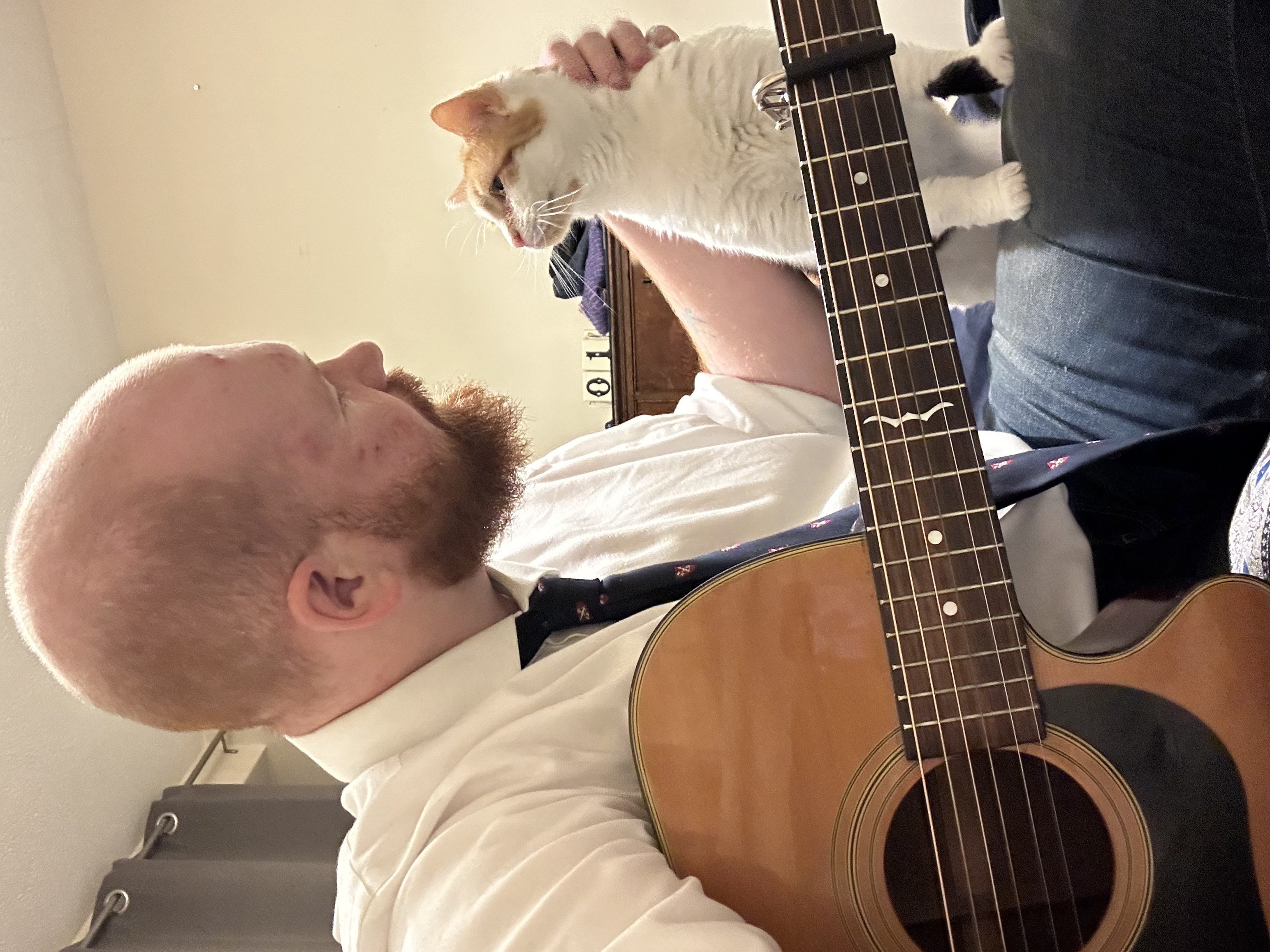 image-8