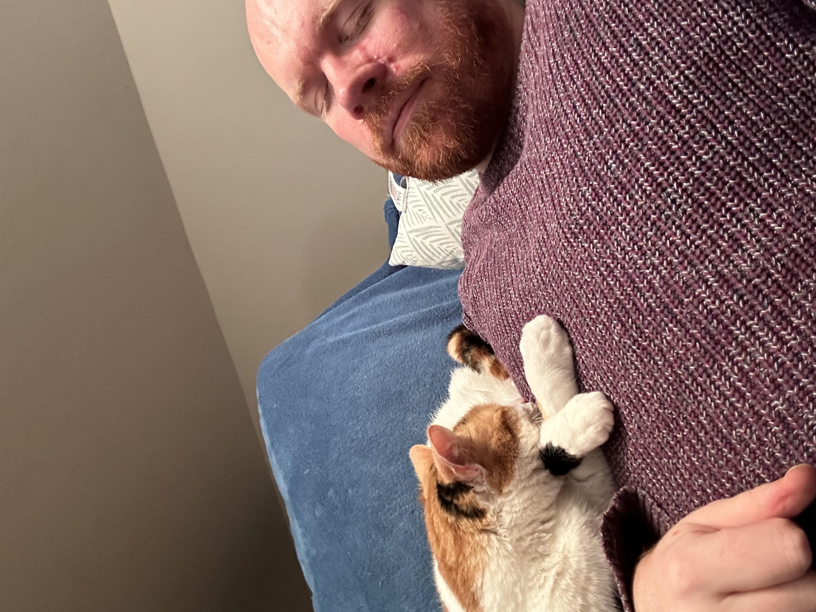 image-6