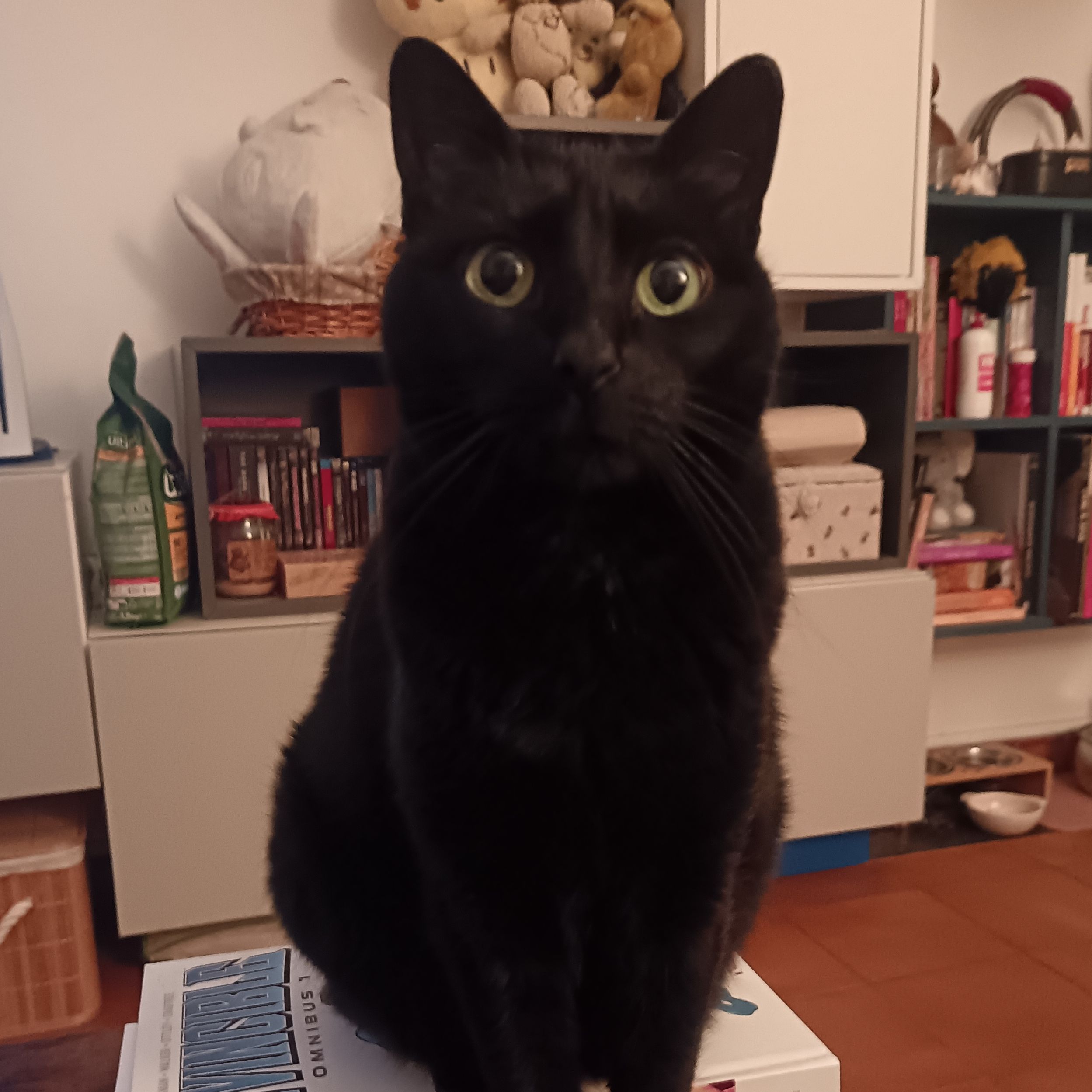 Mizu