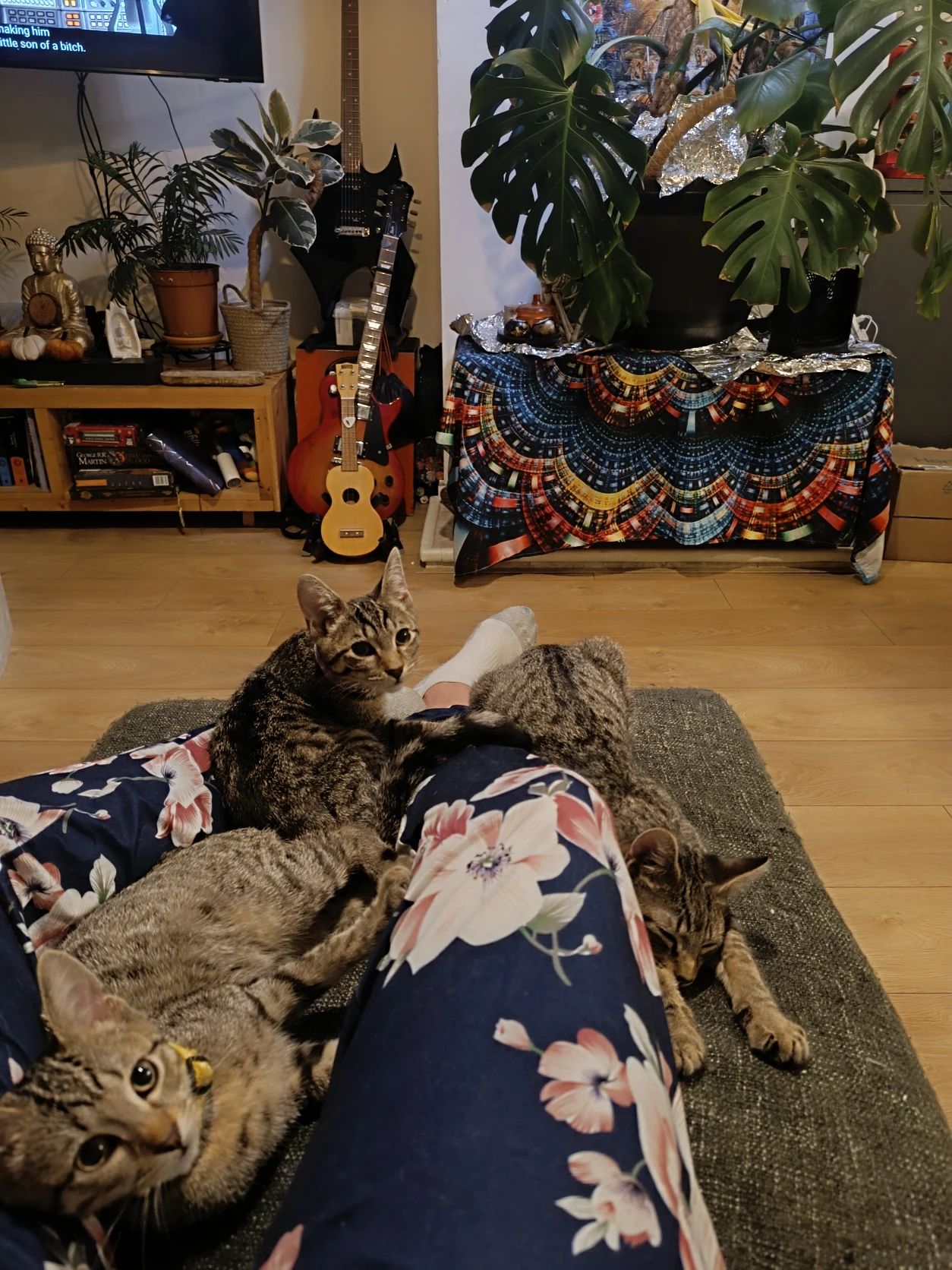 image-8