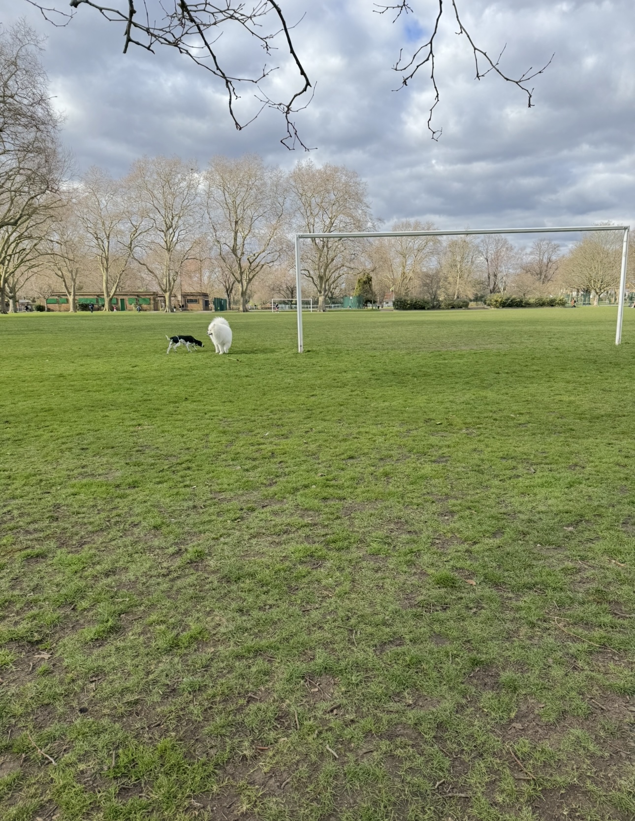 image-17