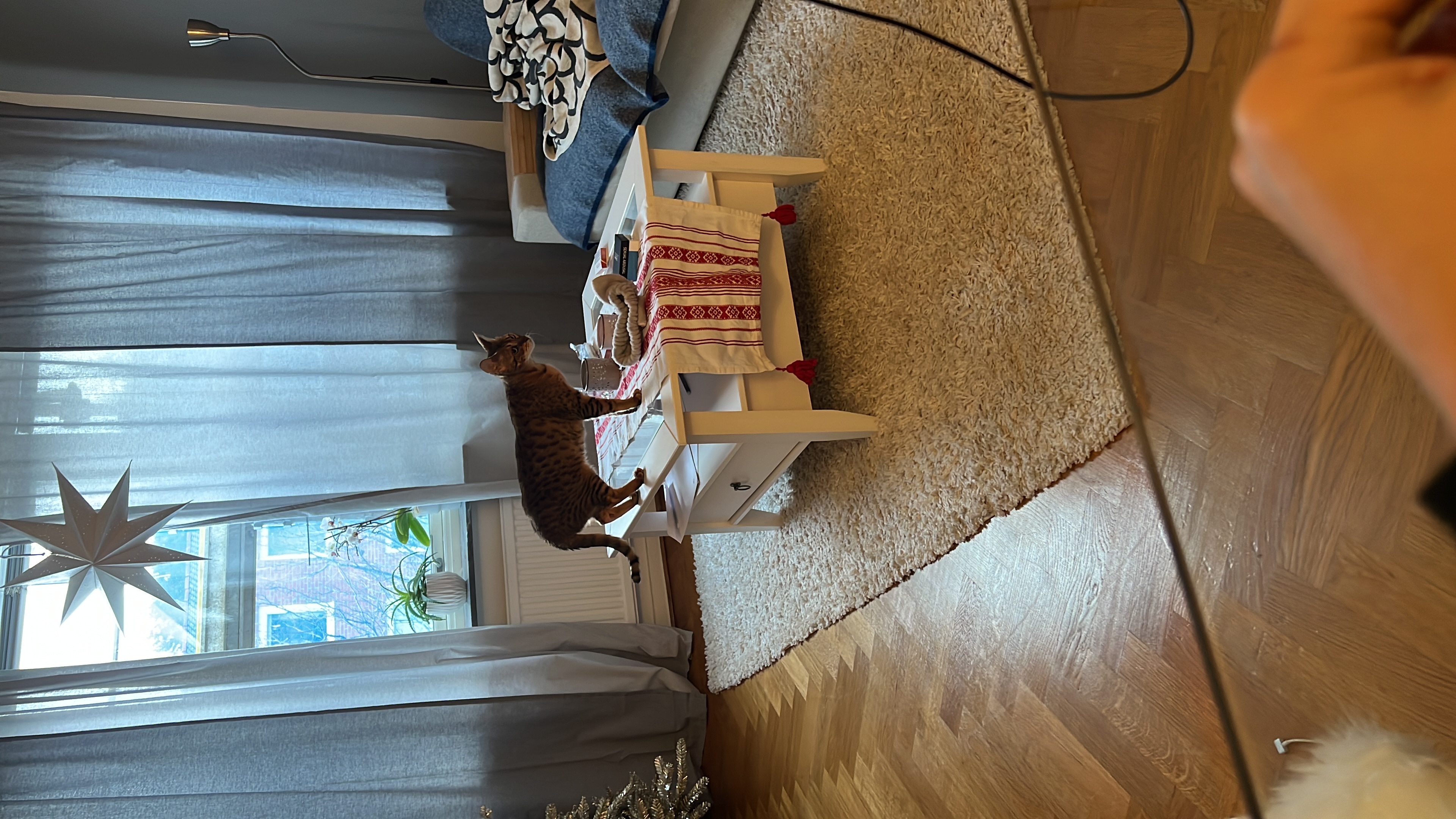 image-8
