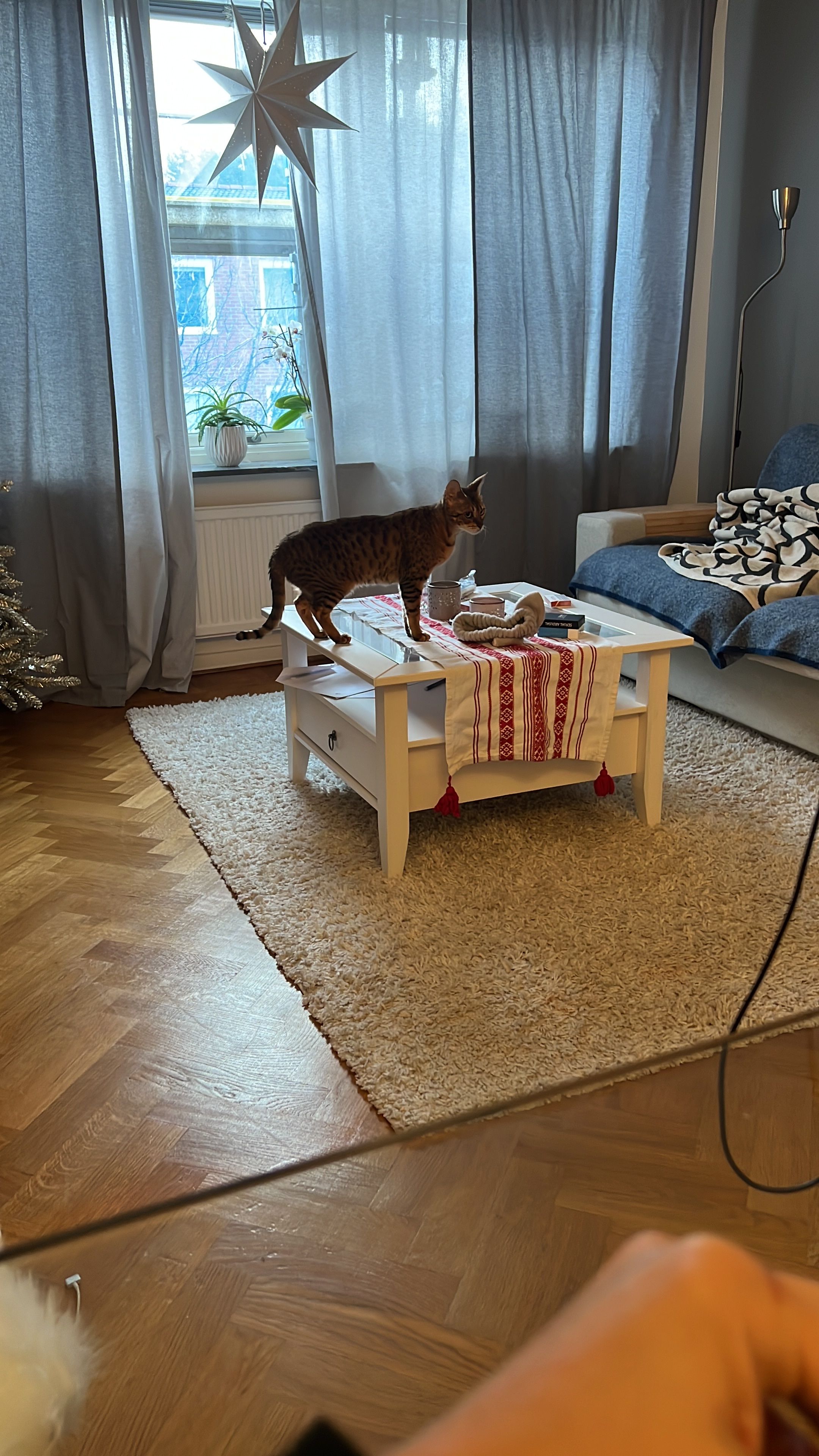 image-8
