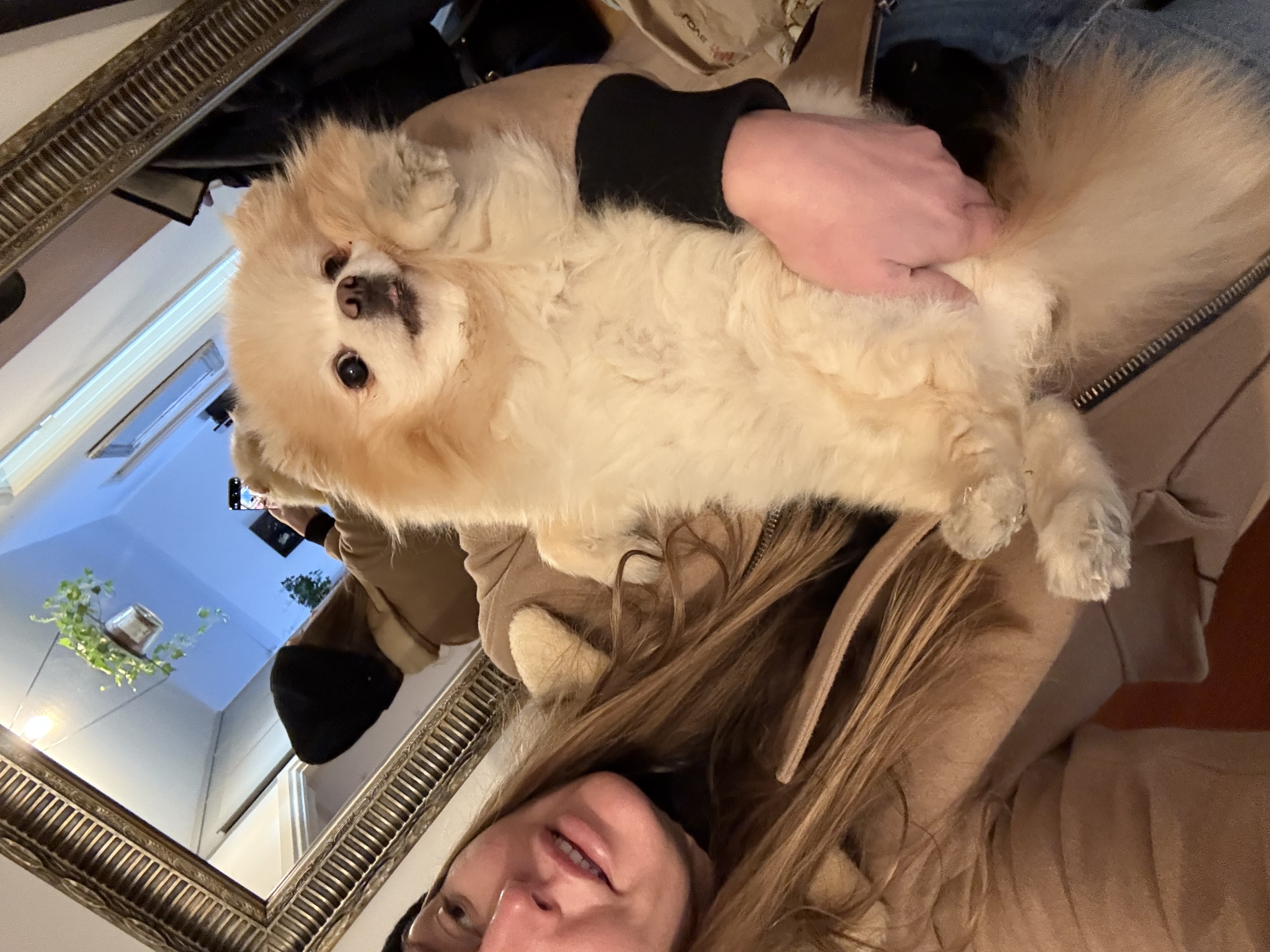 image-9