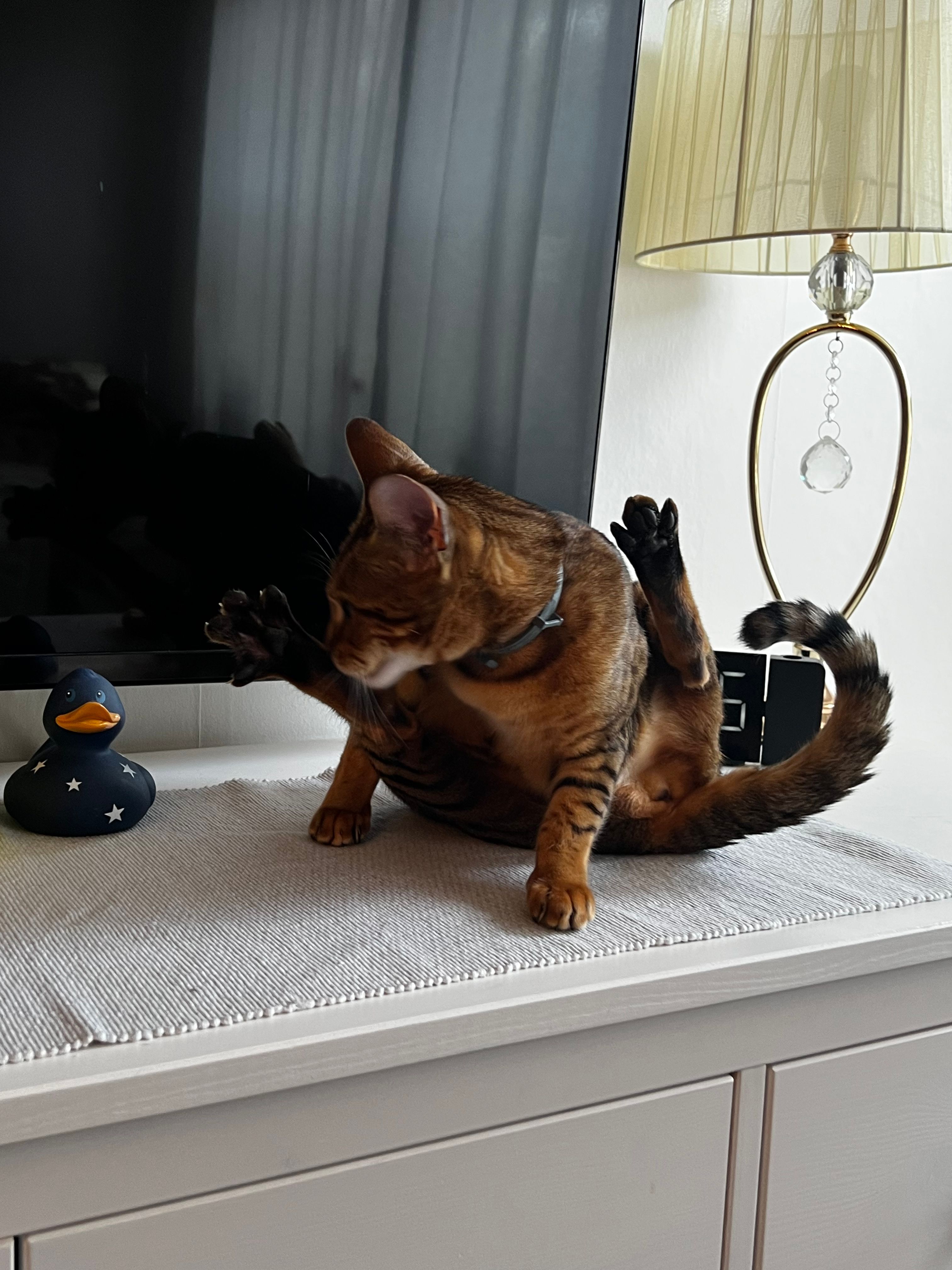 image-7