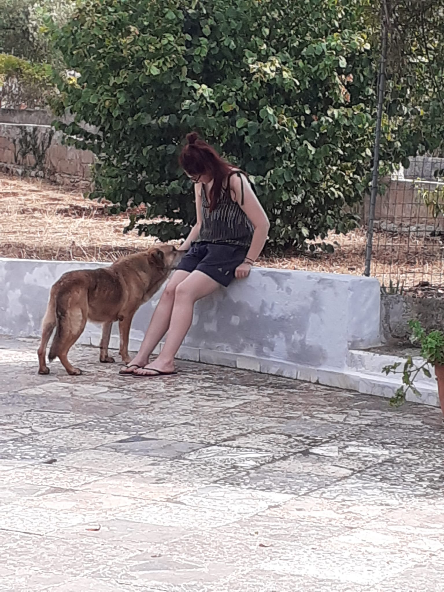 image-5