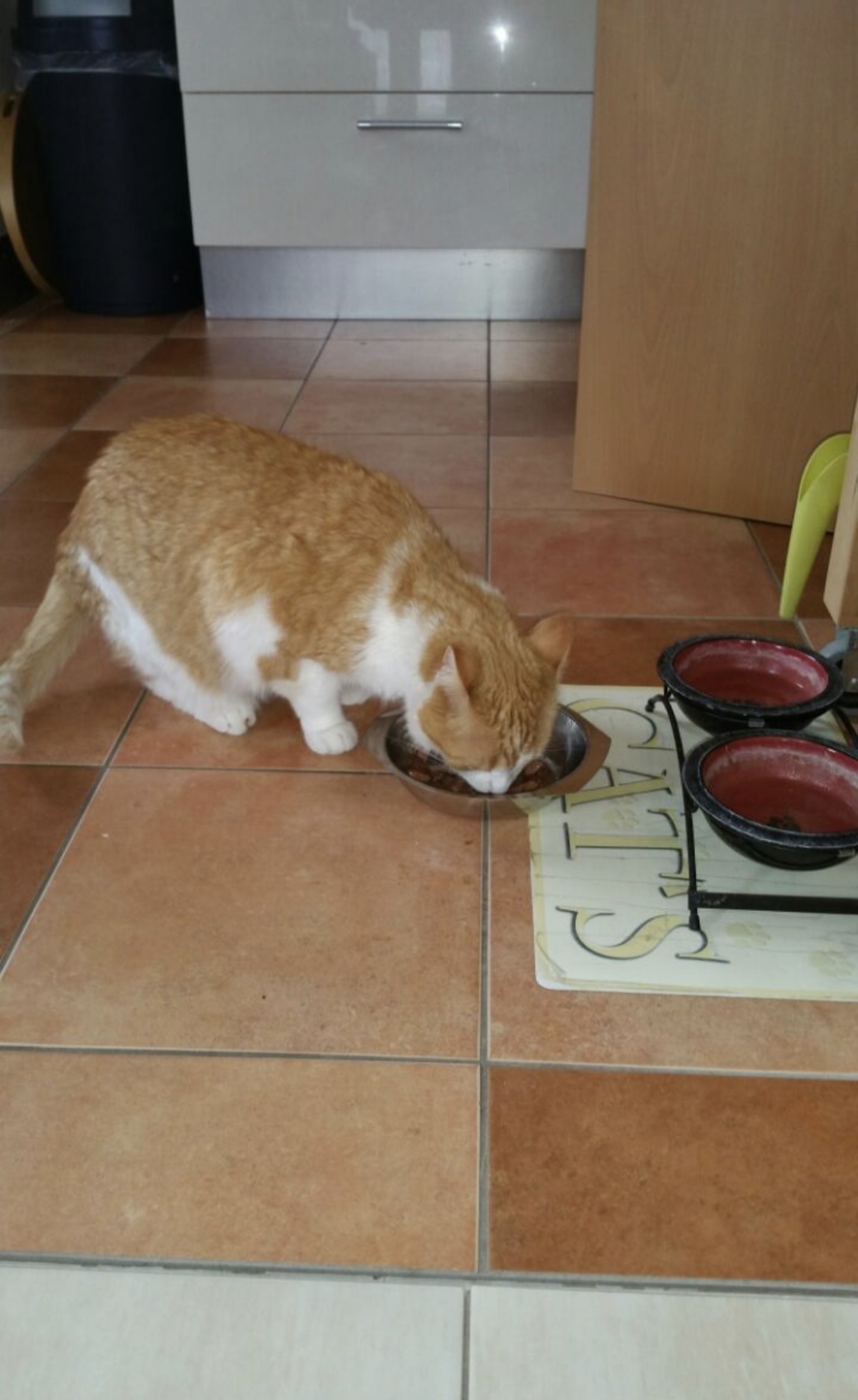 image-10