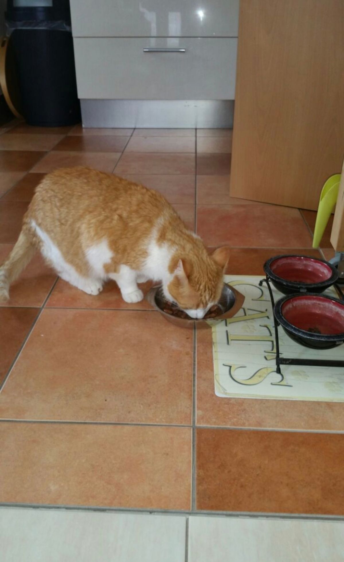 image-10
