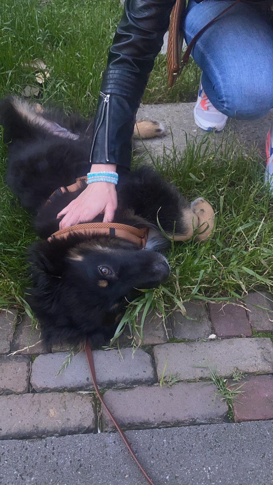 image-6