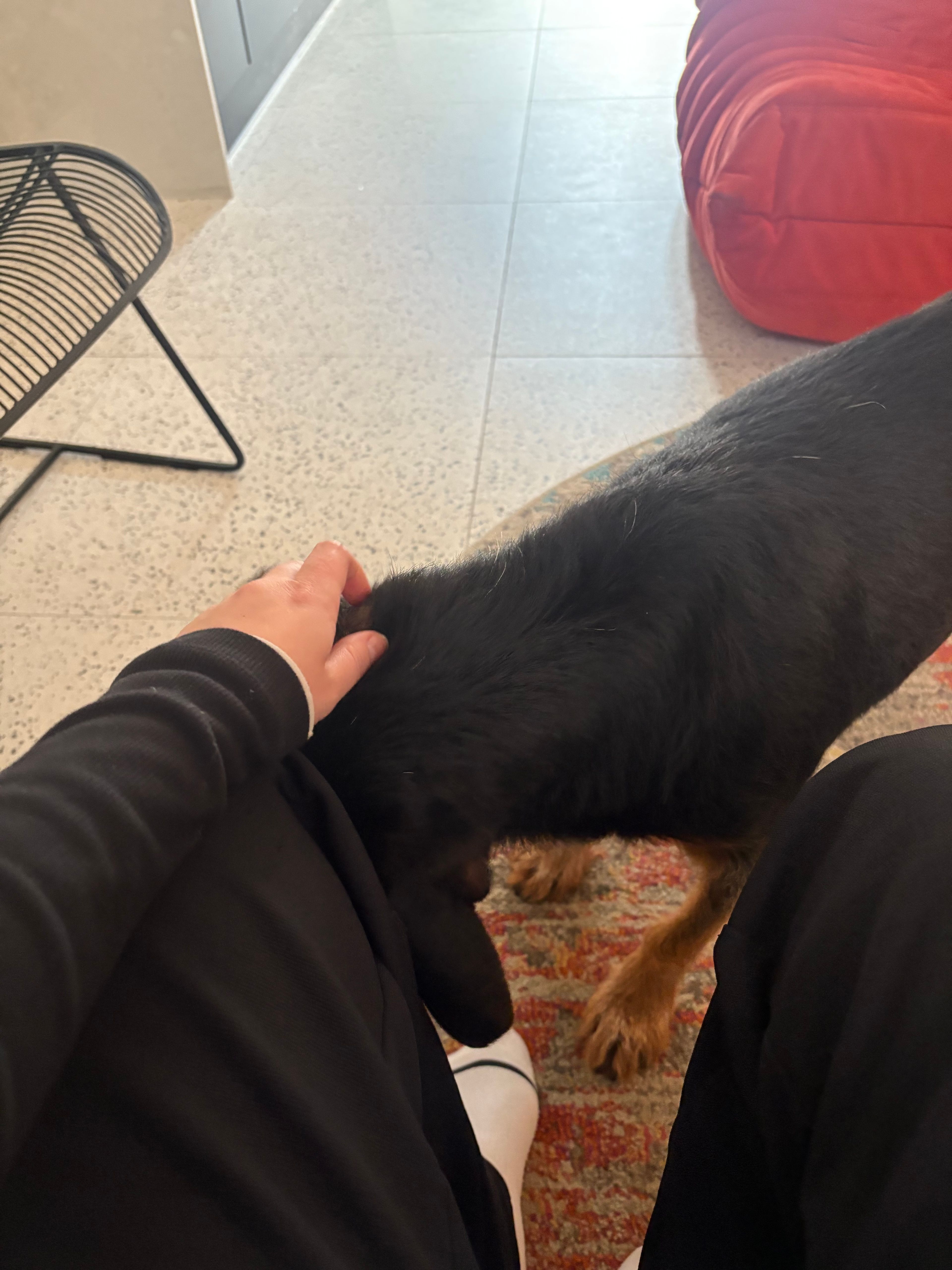 image-5