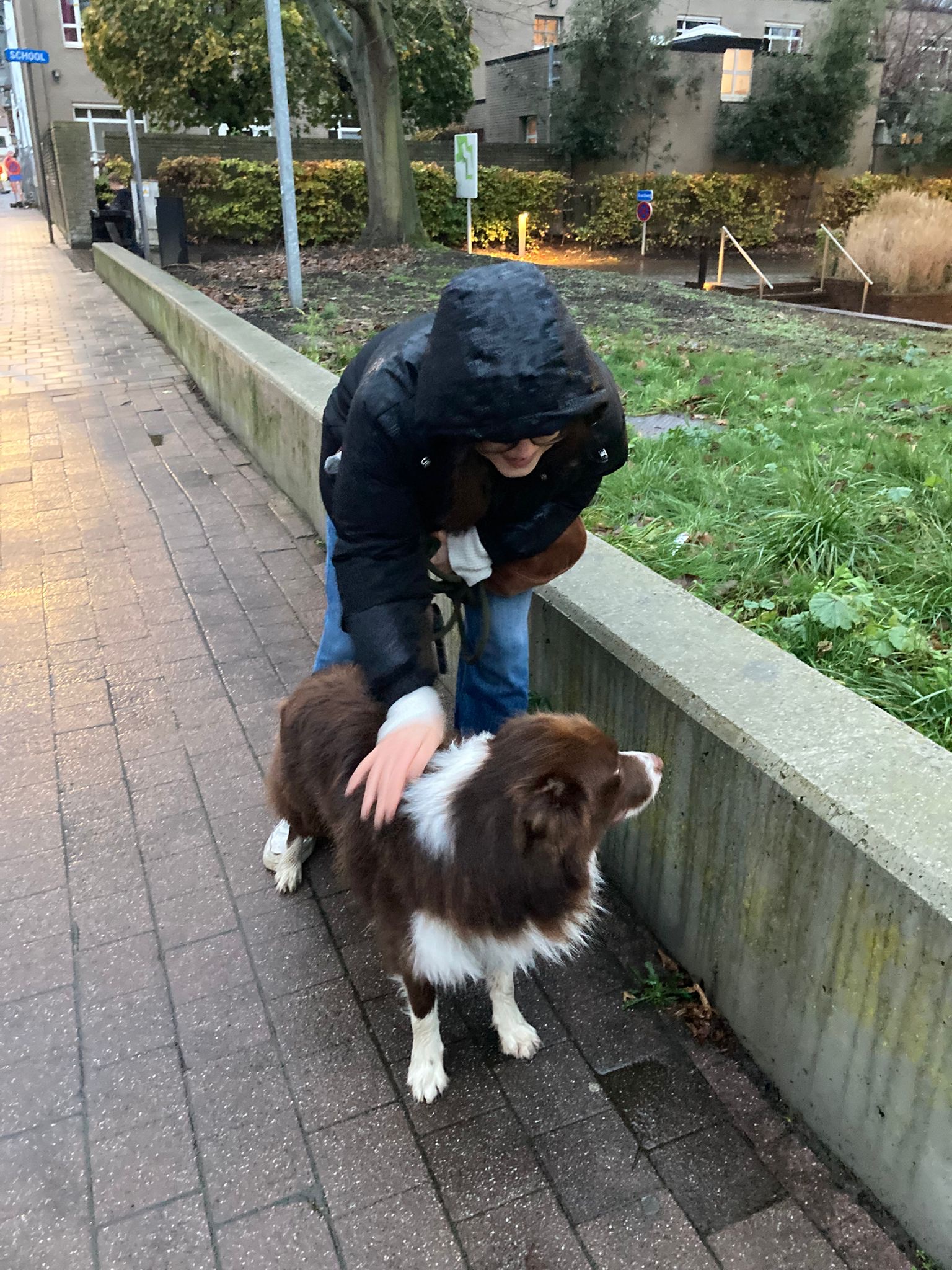 image-8