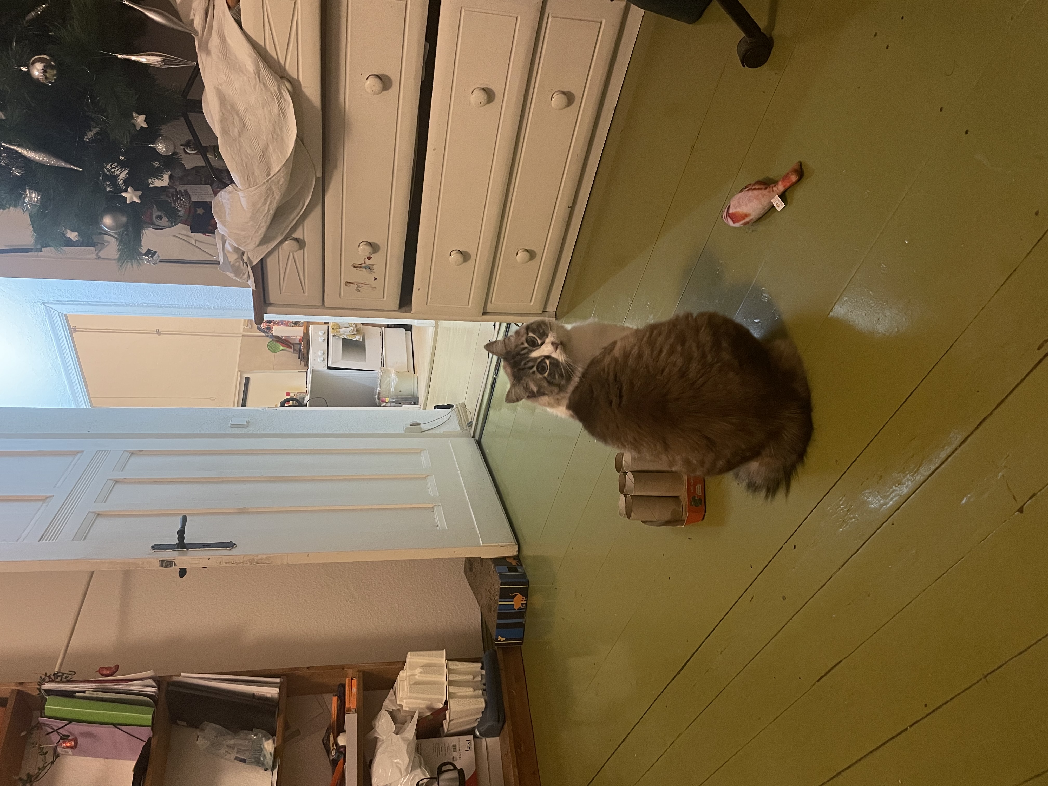 image-11