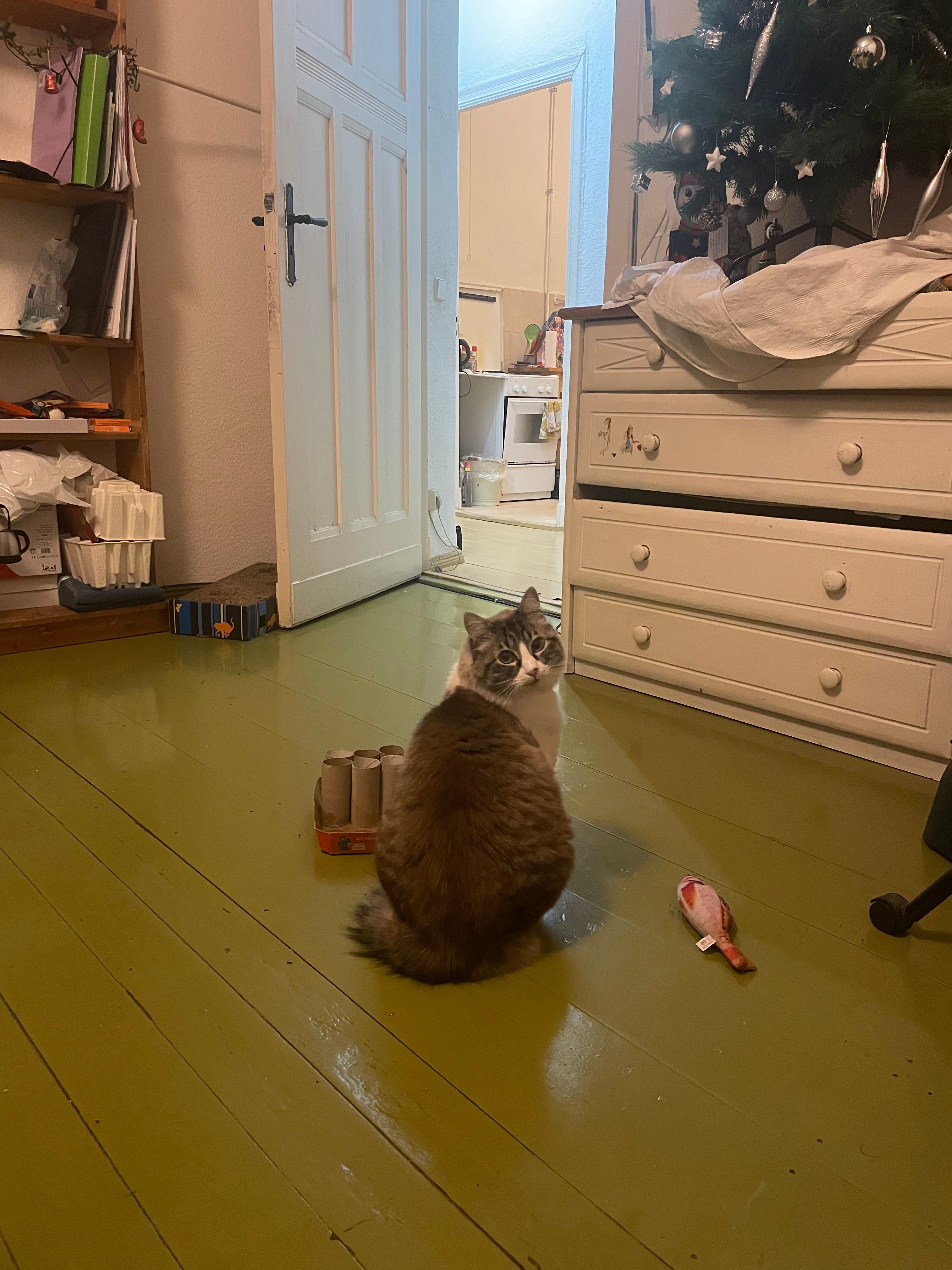 image-11