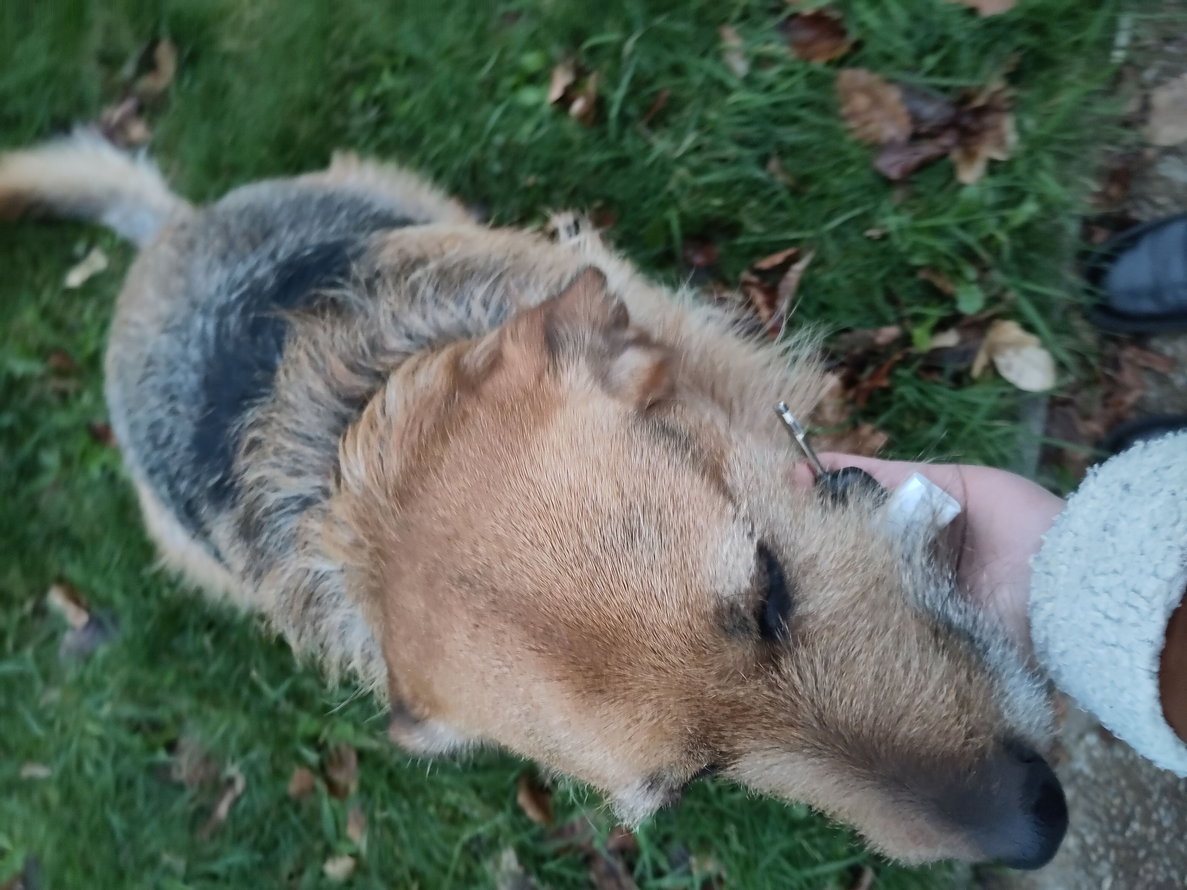 image-7