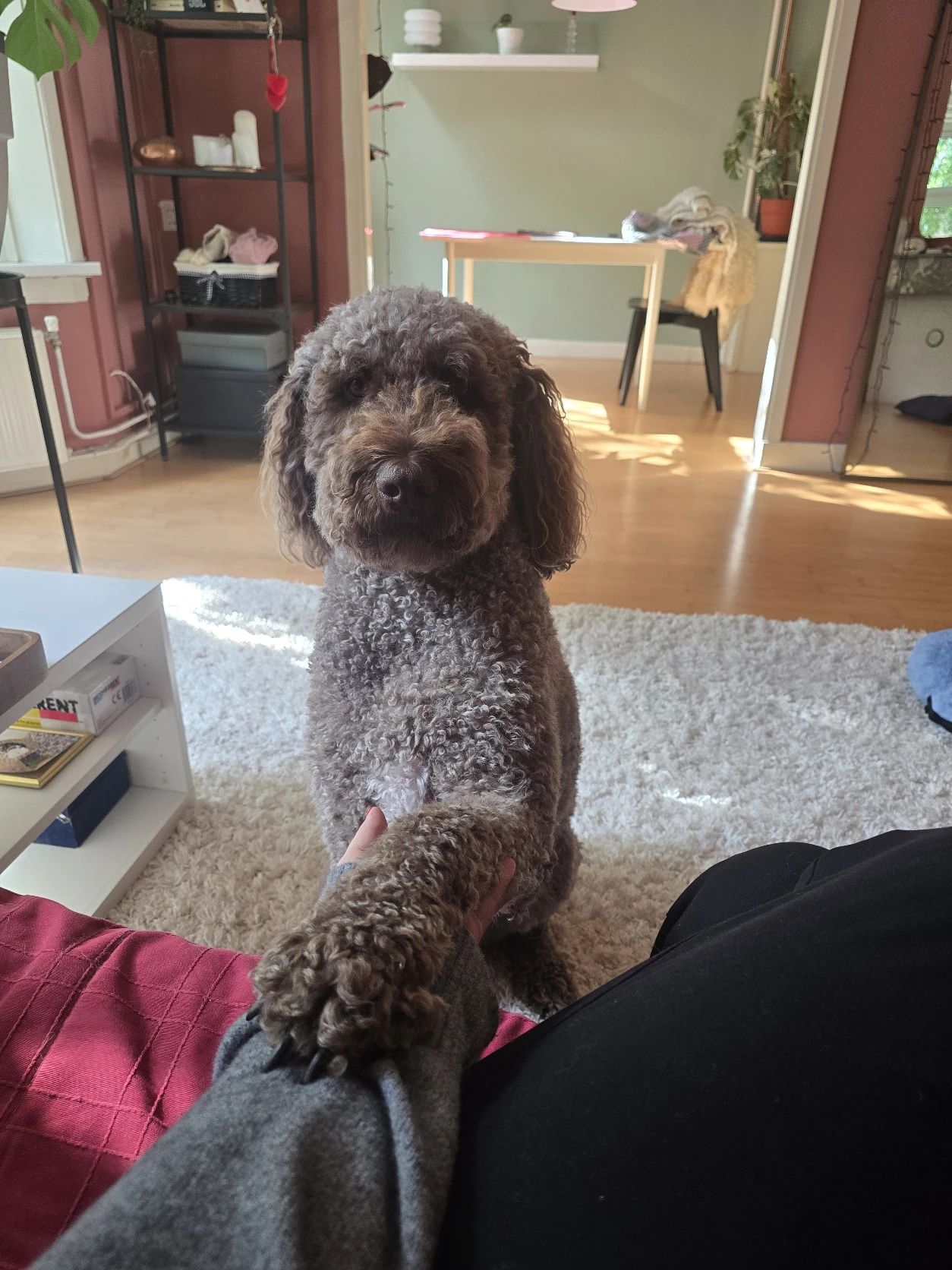 image-10