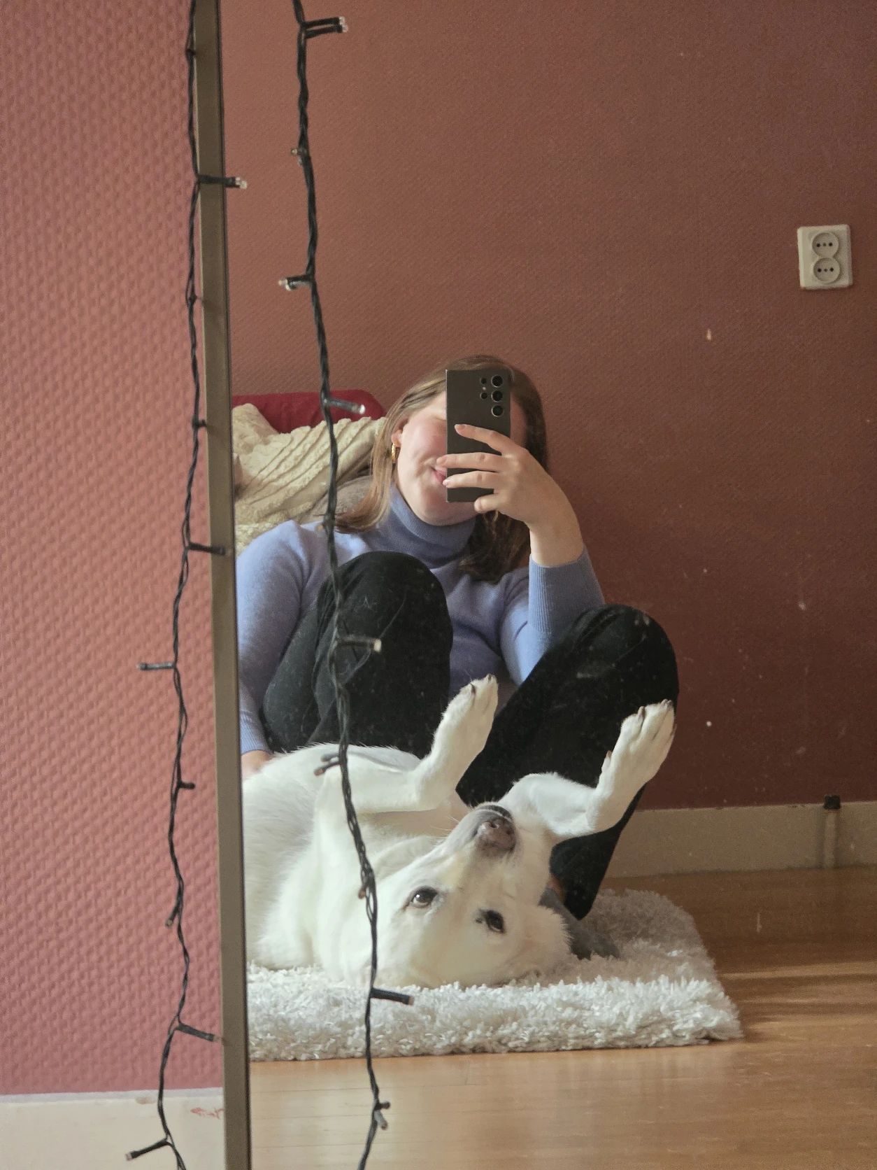 image-6