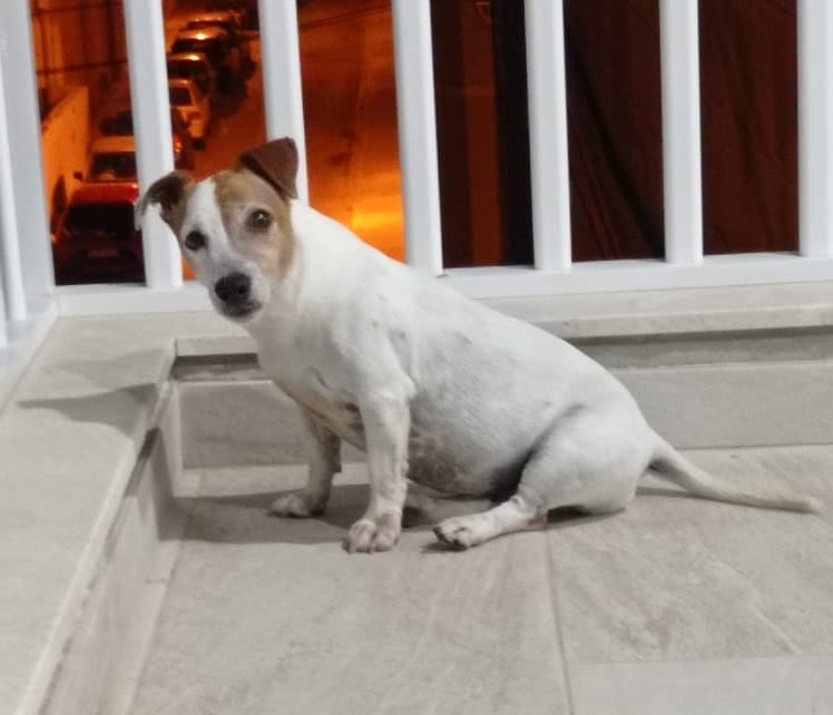image-8